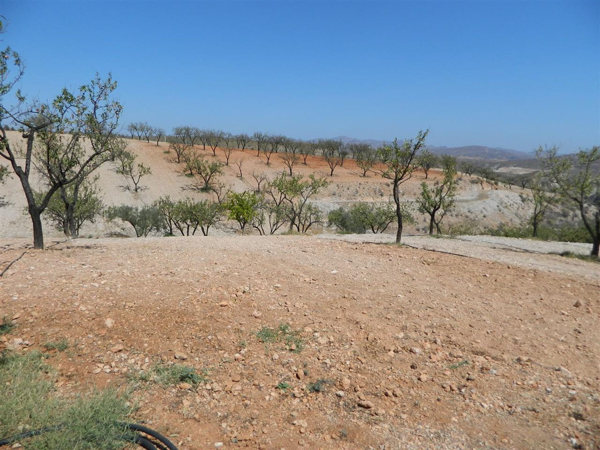 Haus im Sorbas, Andalucía 10882011