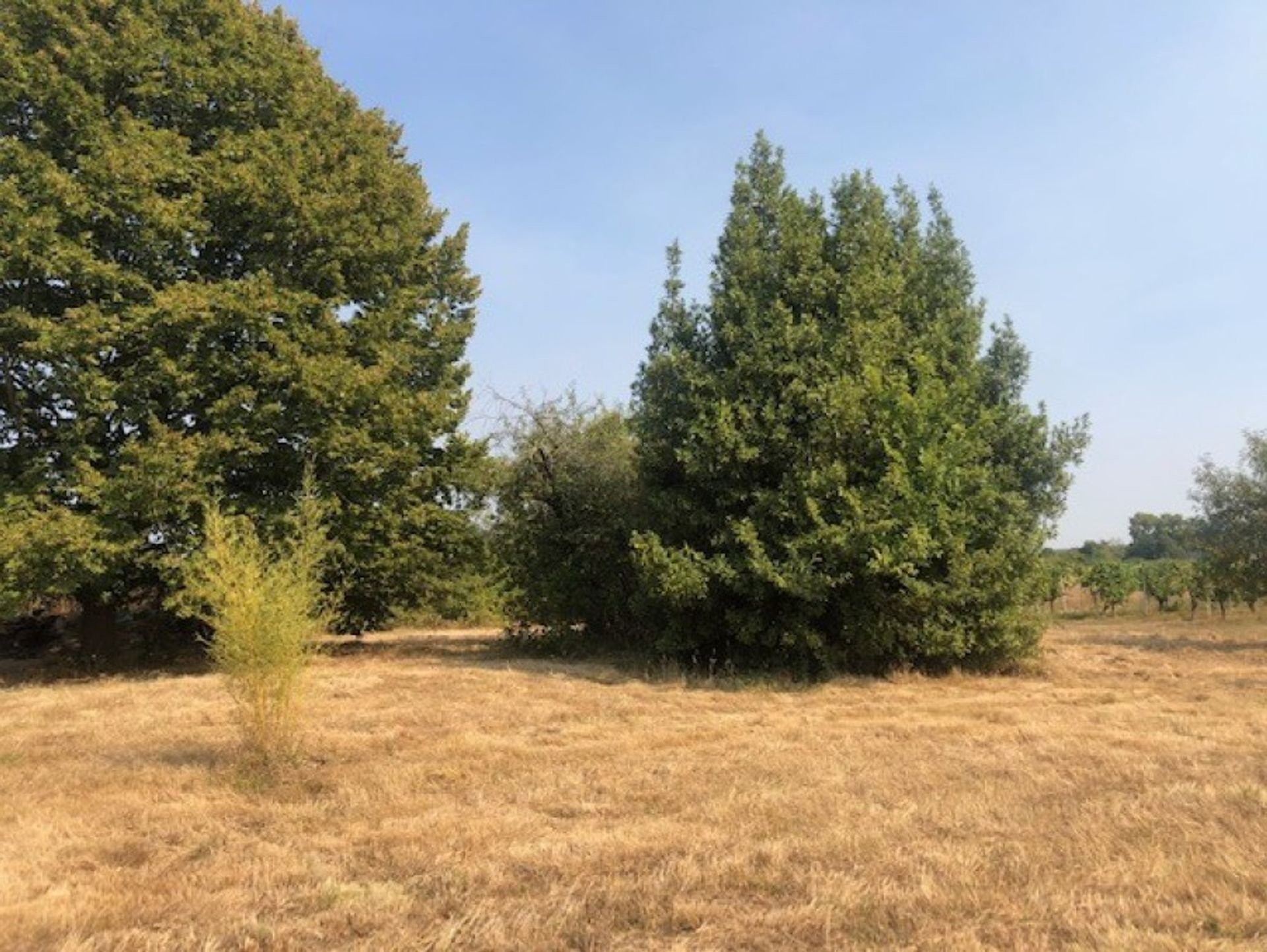 casa en Port-Sainte-Foy-et-Ponchapt, Nouvelle-Aquitaine 10882019