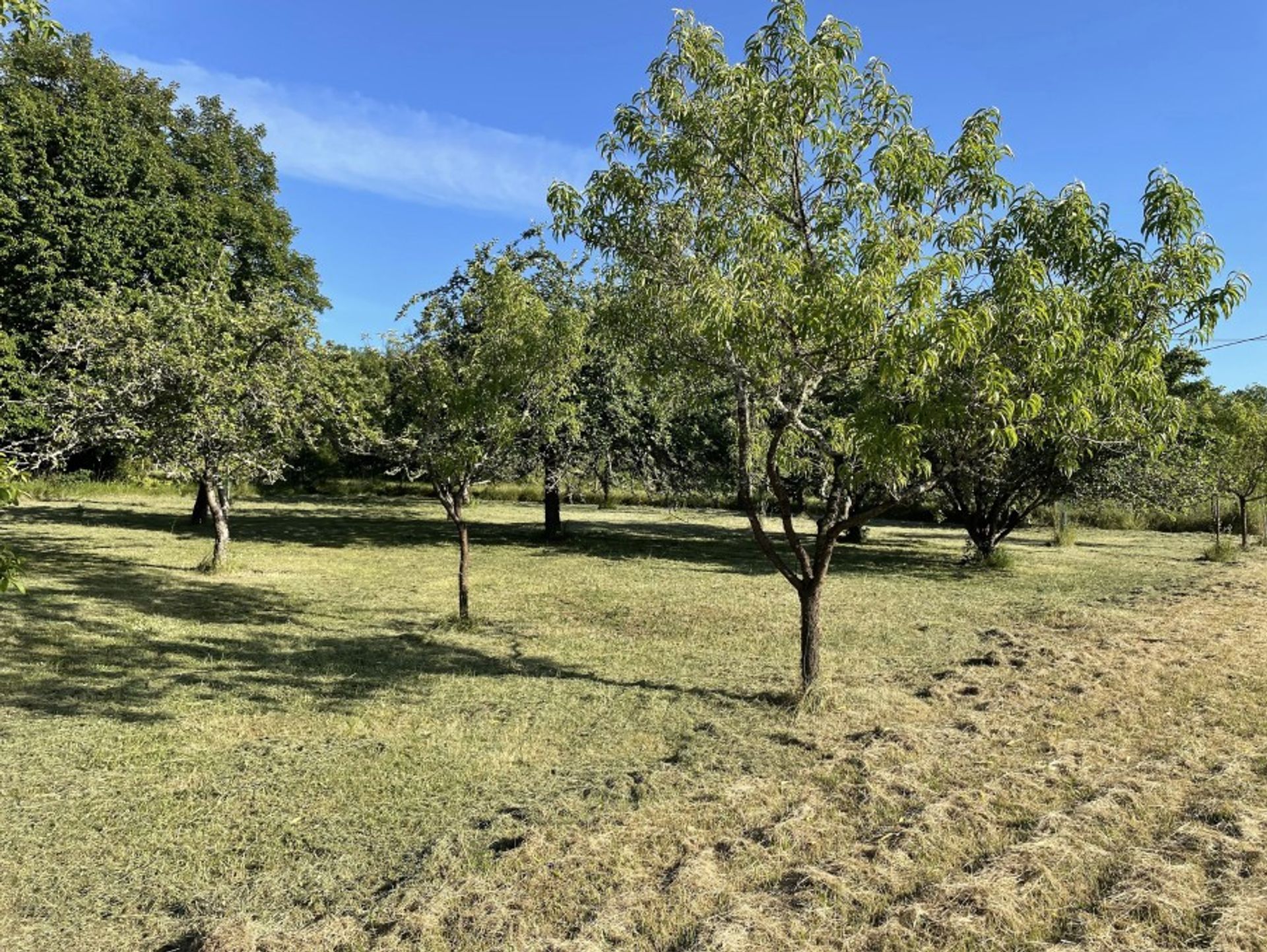 σπίτι σε Beaumontois-en-Périgord, Nouvelle-Aquitaine 10882112