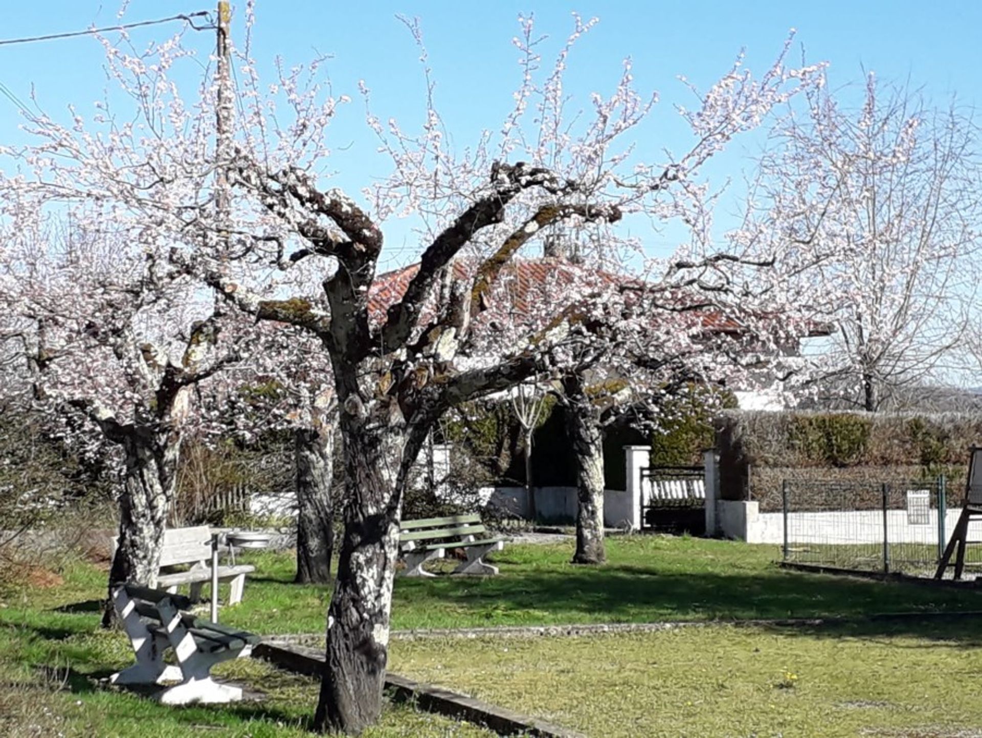 loger dans Cahuzac, Nouvelle-Aquitaine 10882244