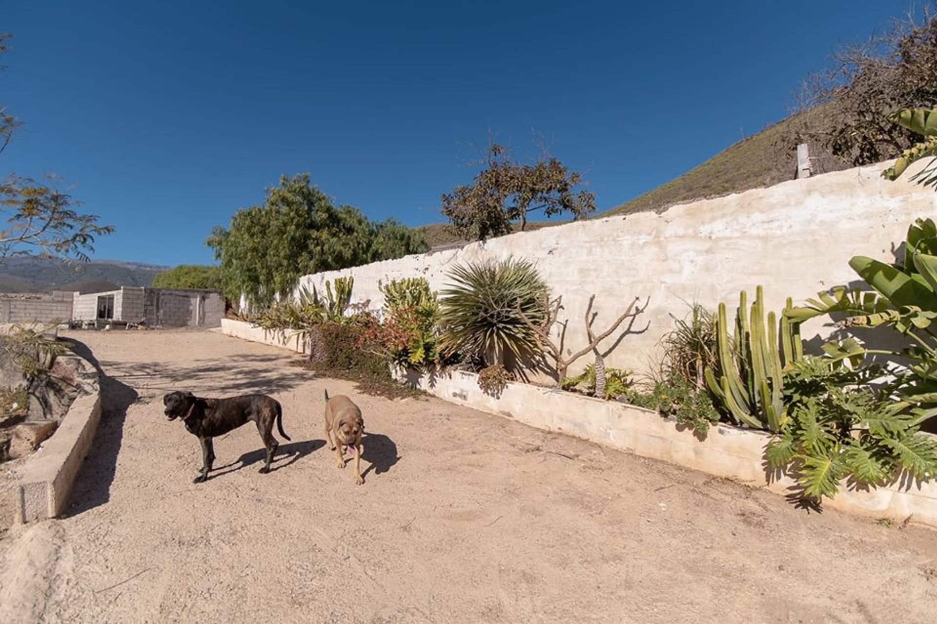 Haus im La Tejita, Canarias 10882286