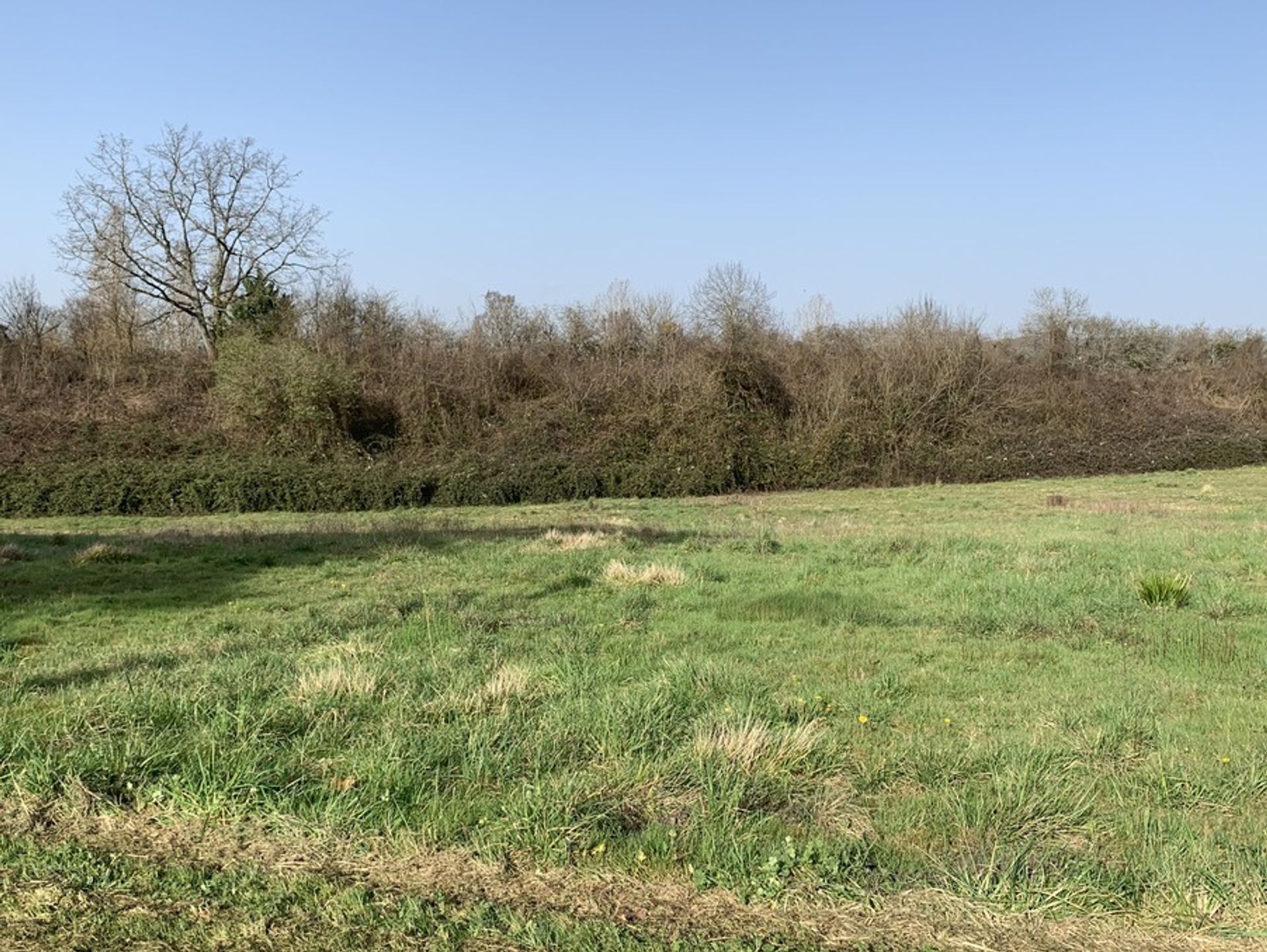 Land in Cancon, Nouvelle-Aquitaine 10882469