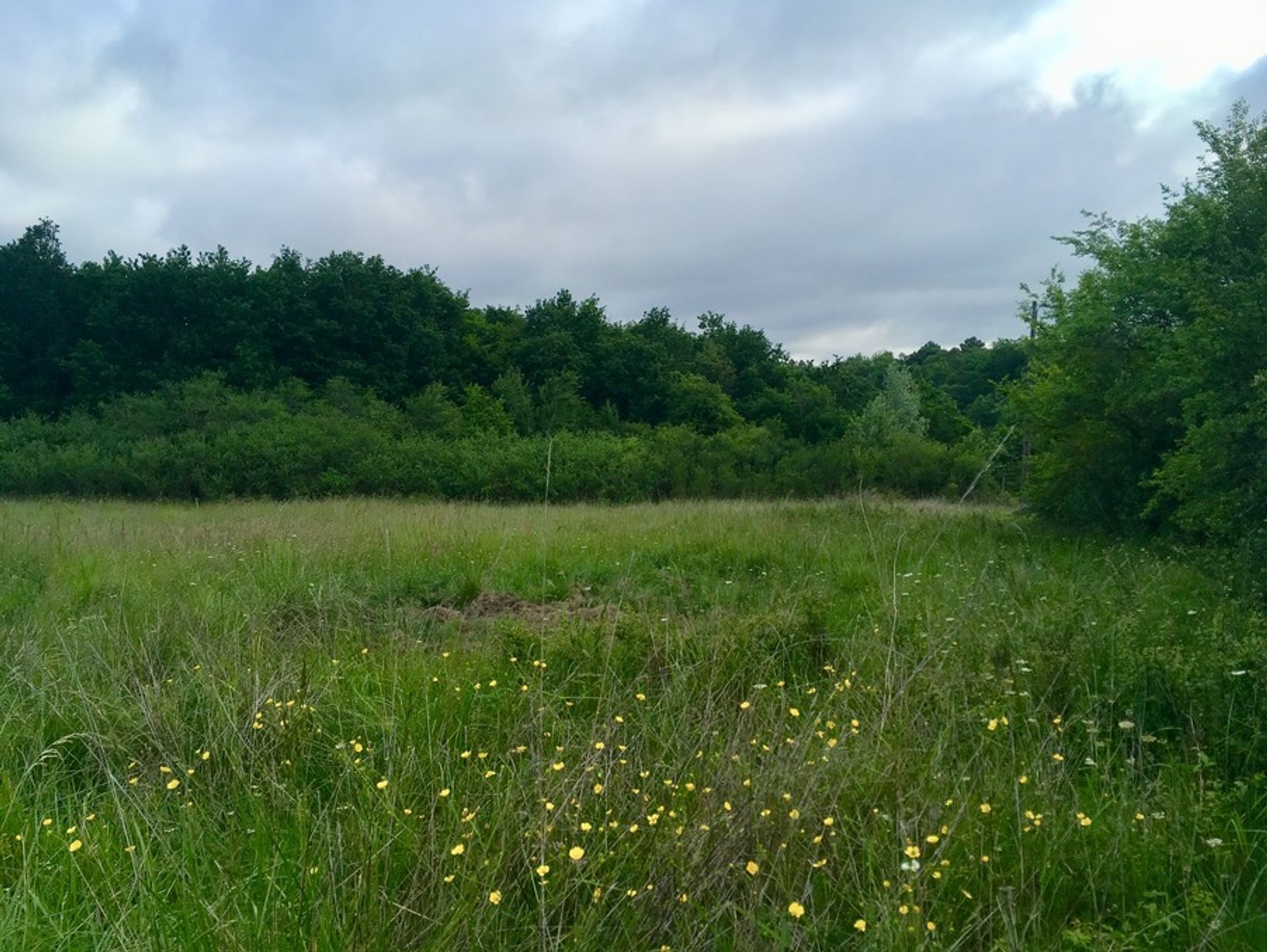 Tanah dalam Lunas, Nouvelle-Aquitaine 10882523