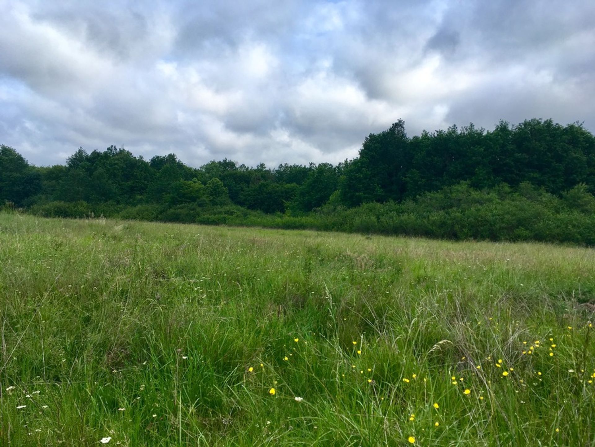 Tanah dalam Lunas, Nouvelle-Aquitaine 10882523