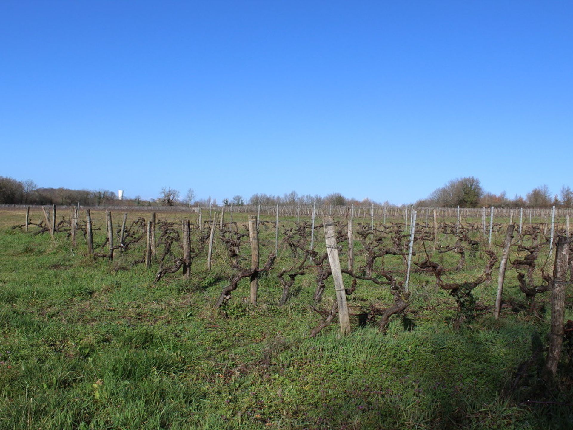 casa no Montcaret, Nouvelle-Aquitaine 10882553