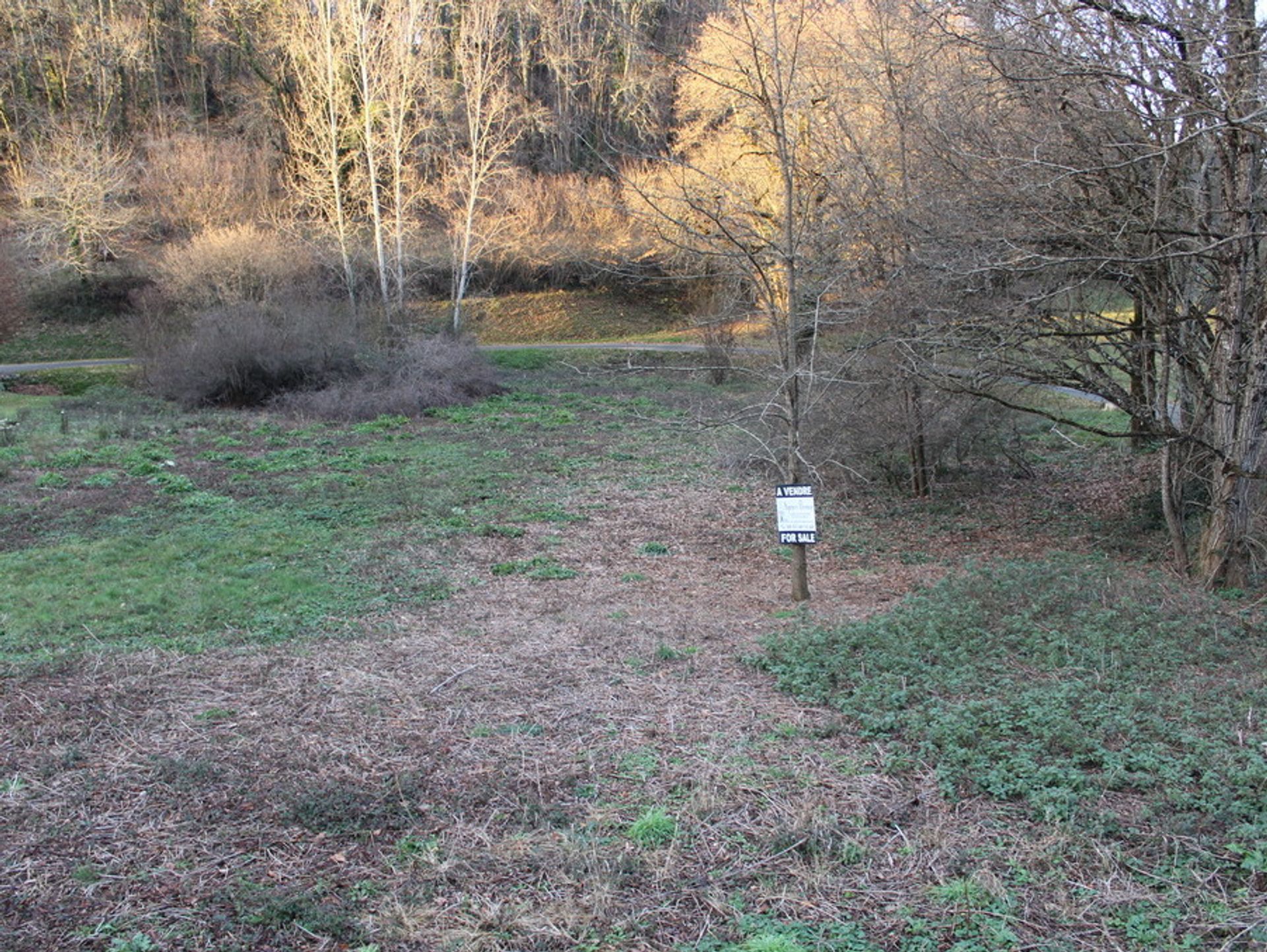 Tierra en Le Buisson-de-Cadouin, Nouvelle-Aquitaine 10882619