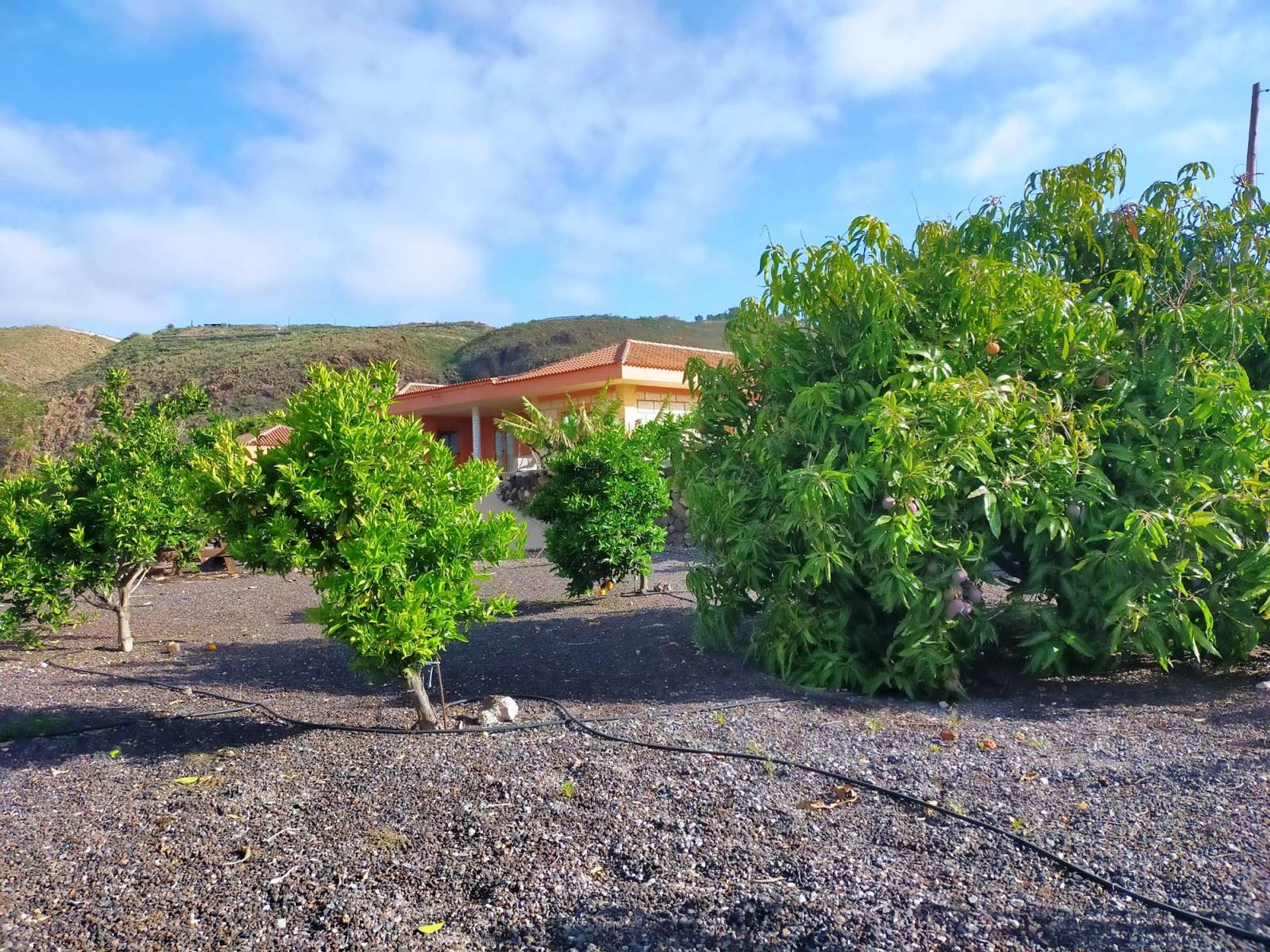 House in San Miguel, Canary Islands 10882739