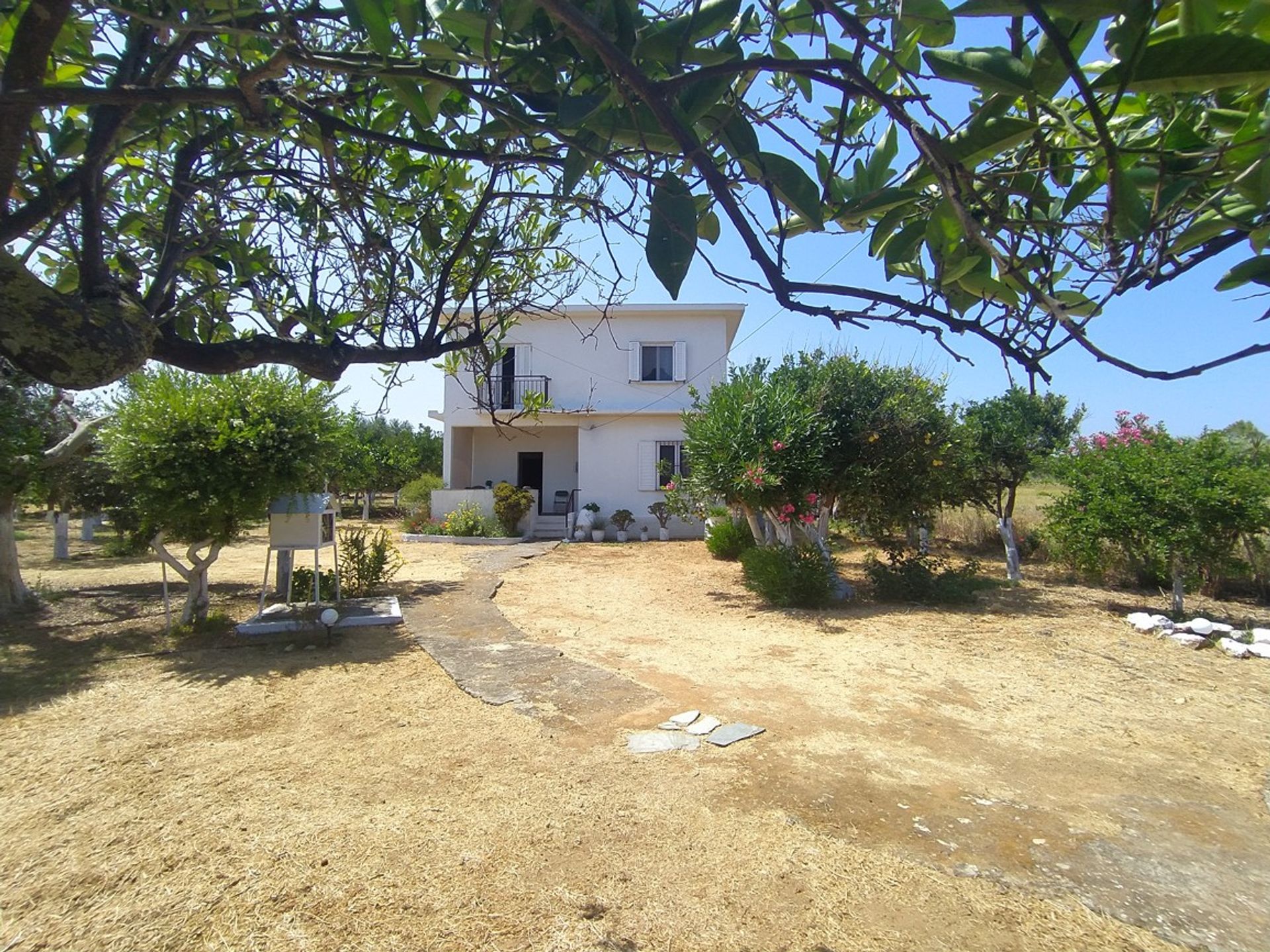 casa no Lakkoi, Criti 10882948