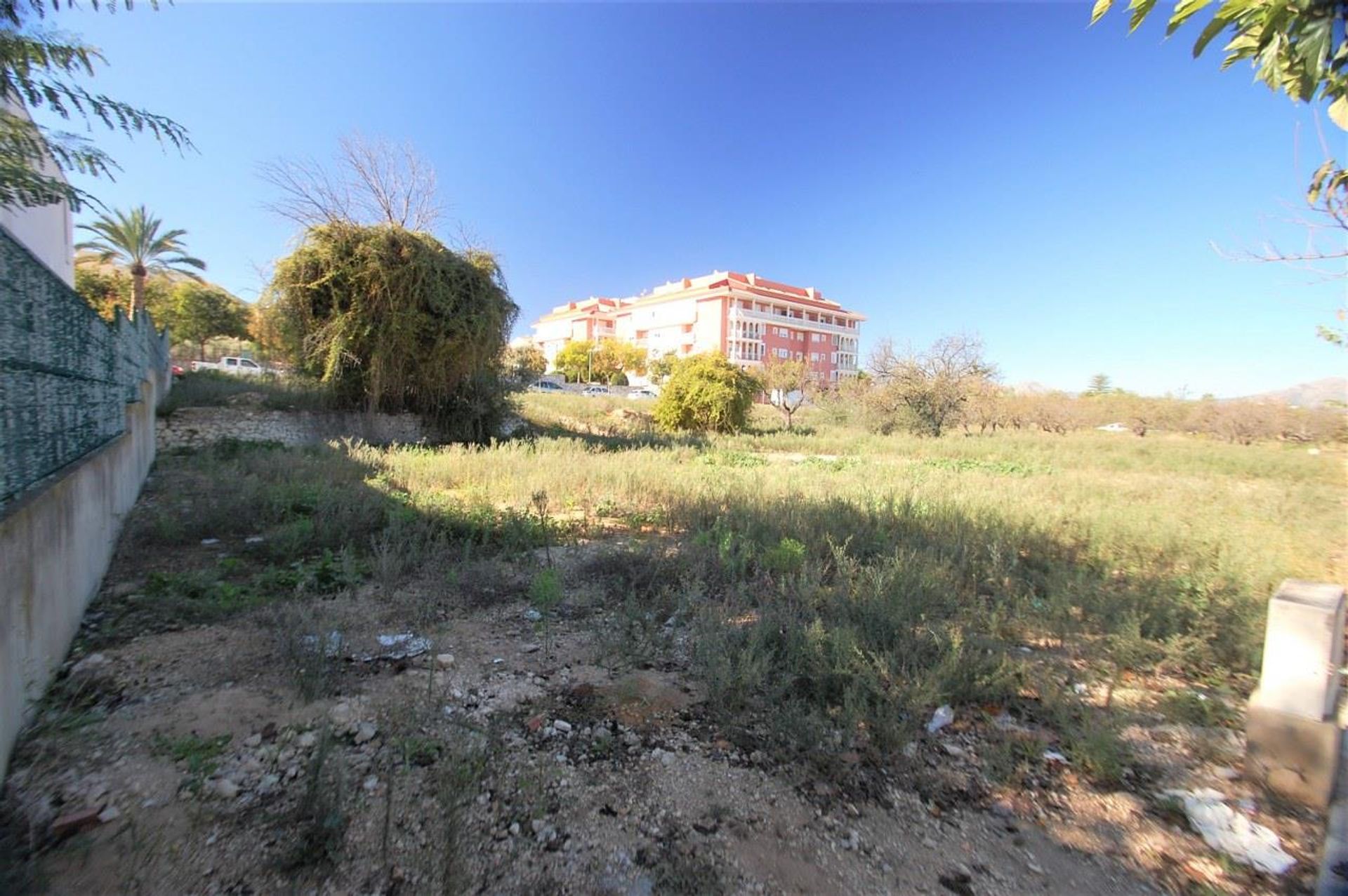 Land in Pedreguer, Valencia 10883062