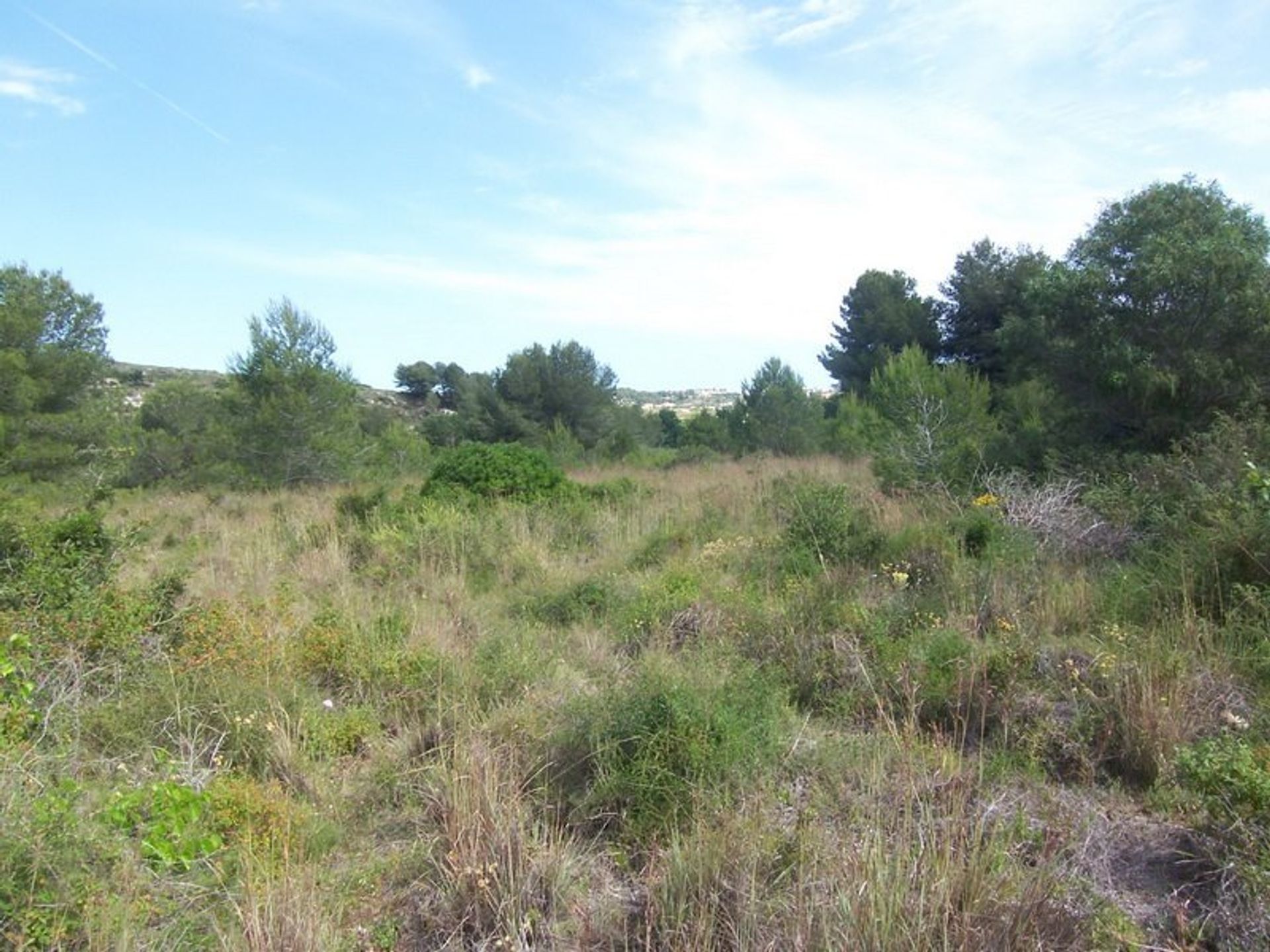 Land in Morayra, Canarische eilanden 10883080