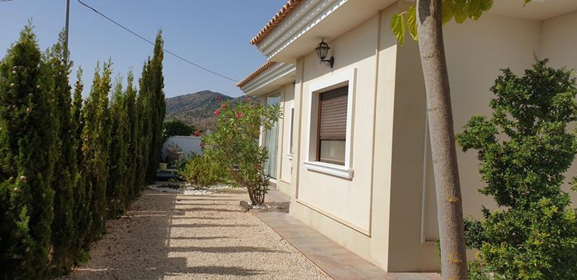 Huis in Monovar, Valencia 10883136