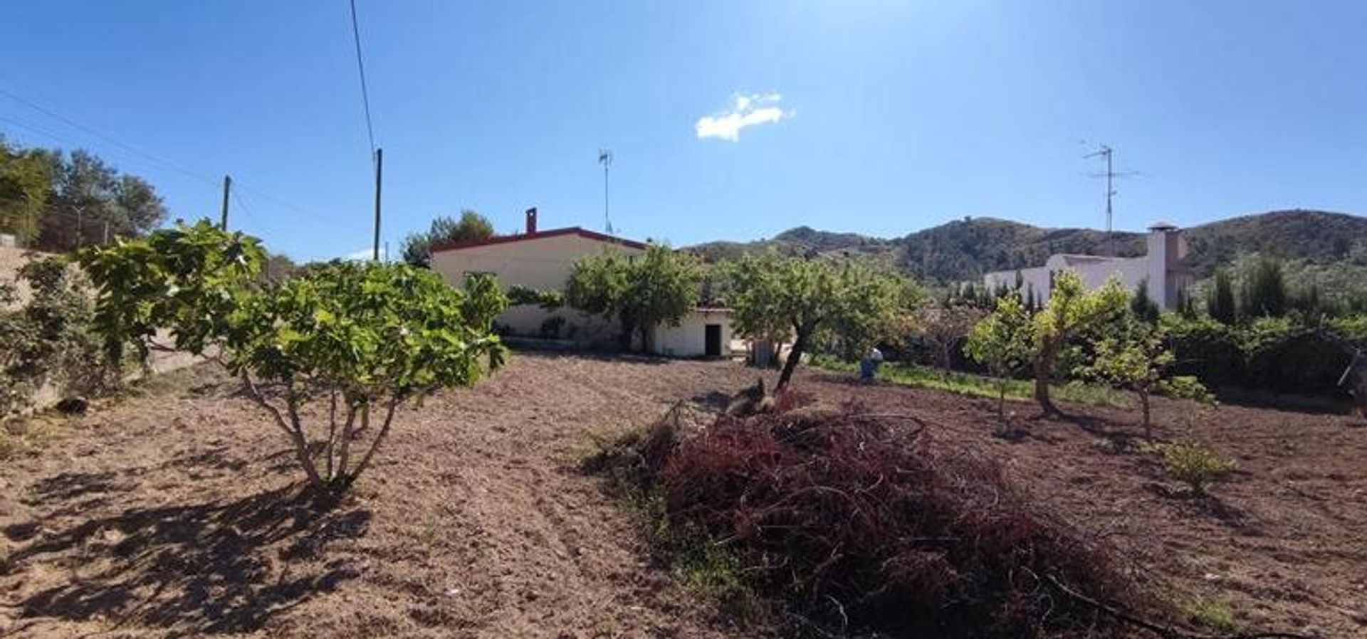 Rumah di El Fondó de les Neus, Valencian Community 10883154