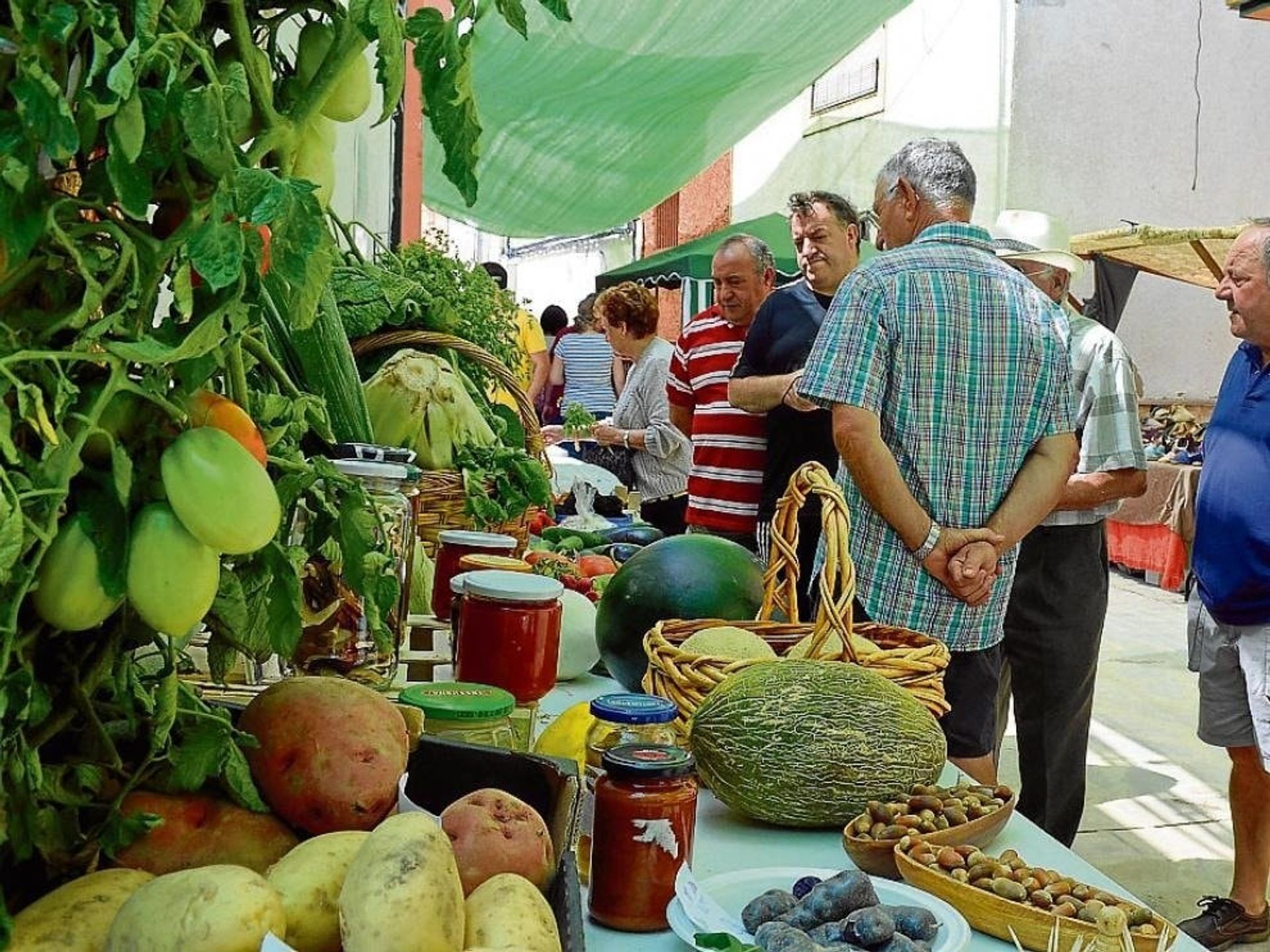 Haus im Guardamar del Segura, Comunidad Valenciana 10883385