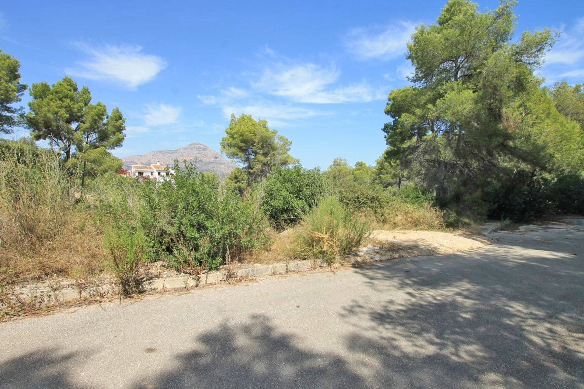 Land in Javea, Valencia 10883506