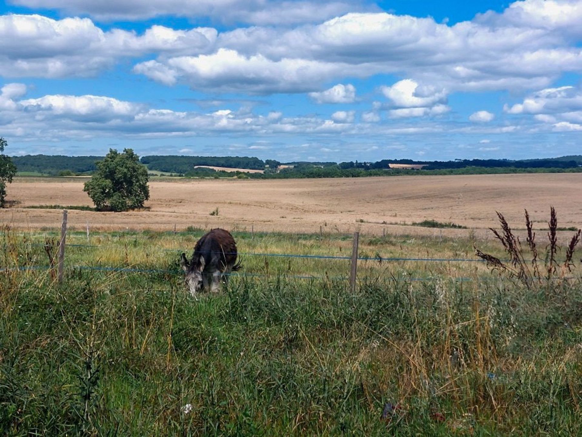 Hus i Fonroque, Nouvelle-Aquitaine 10883553