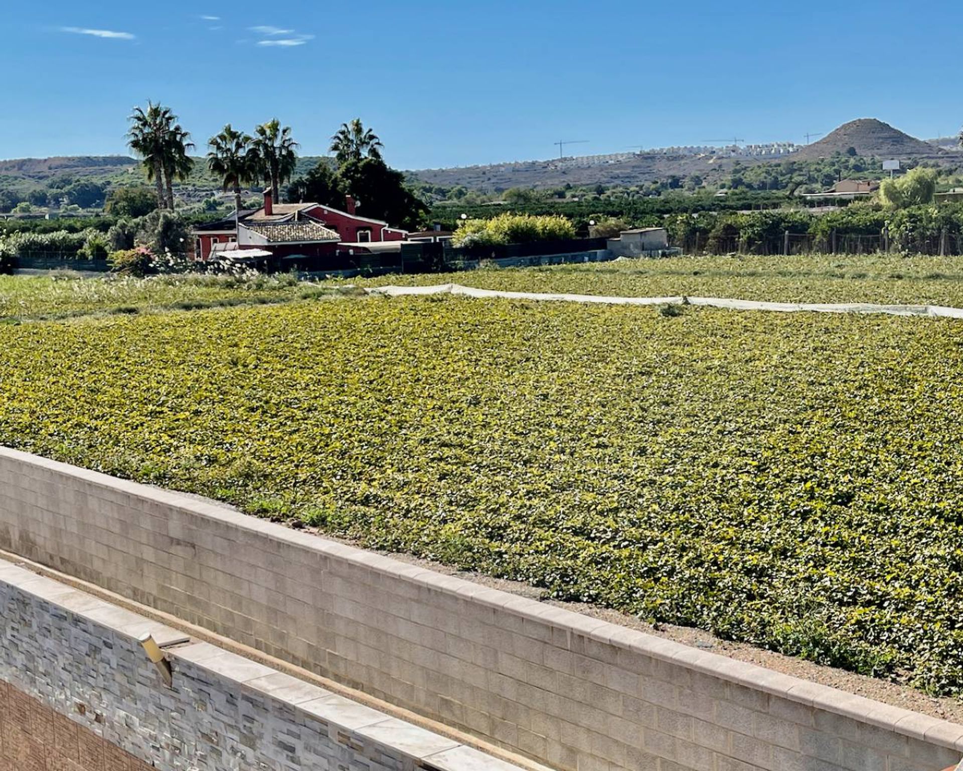 Casa nel Guardamar del Segura, Comunidad Valenciana 10883682