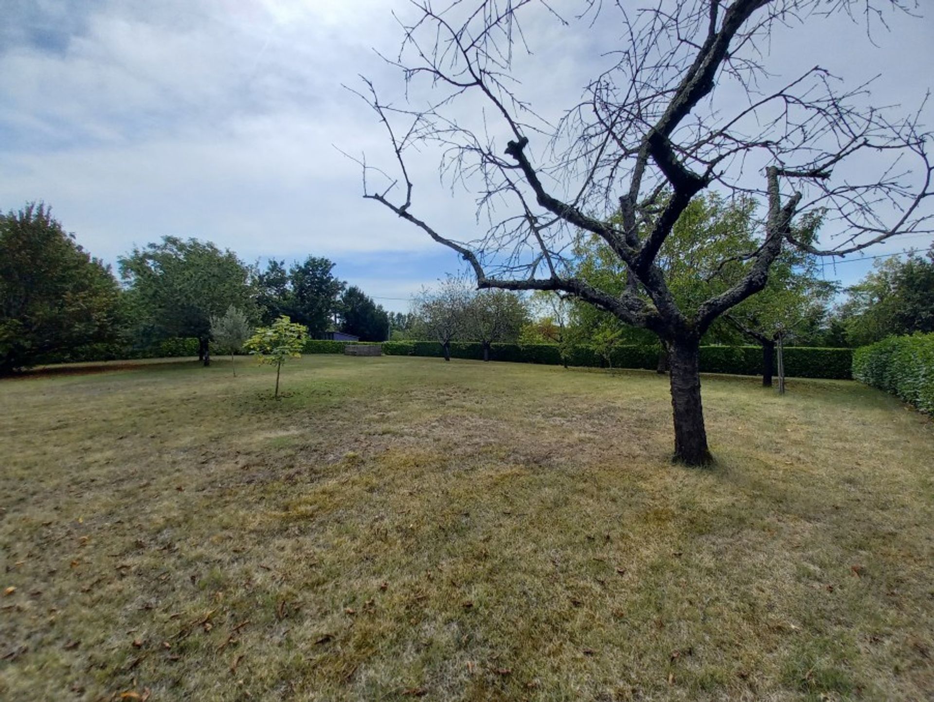 Tanah dalam Castillonnes, Nouvelle-Aquitaine 10883900