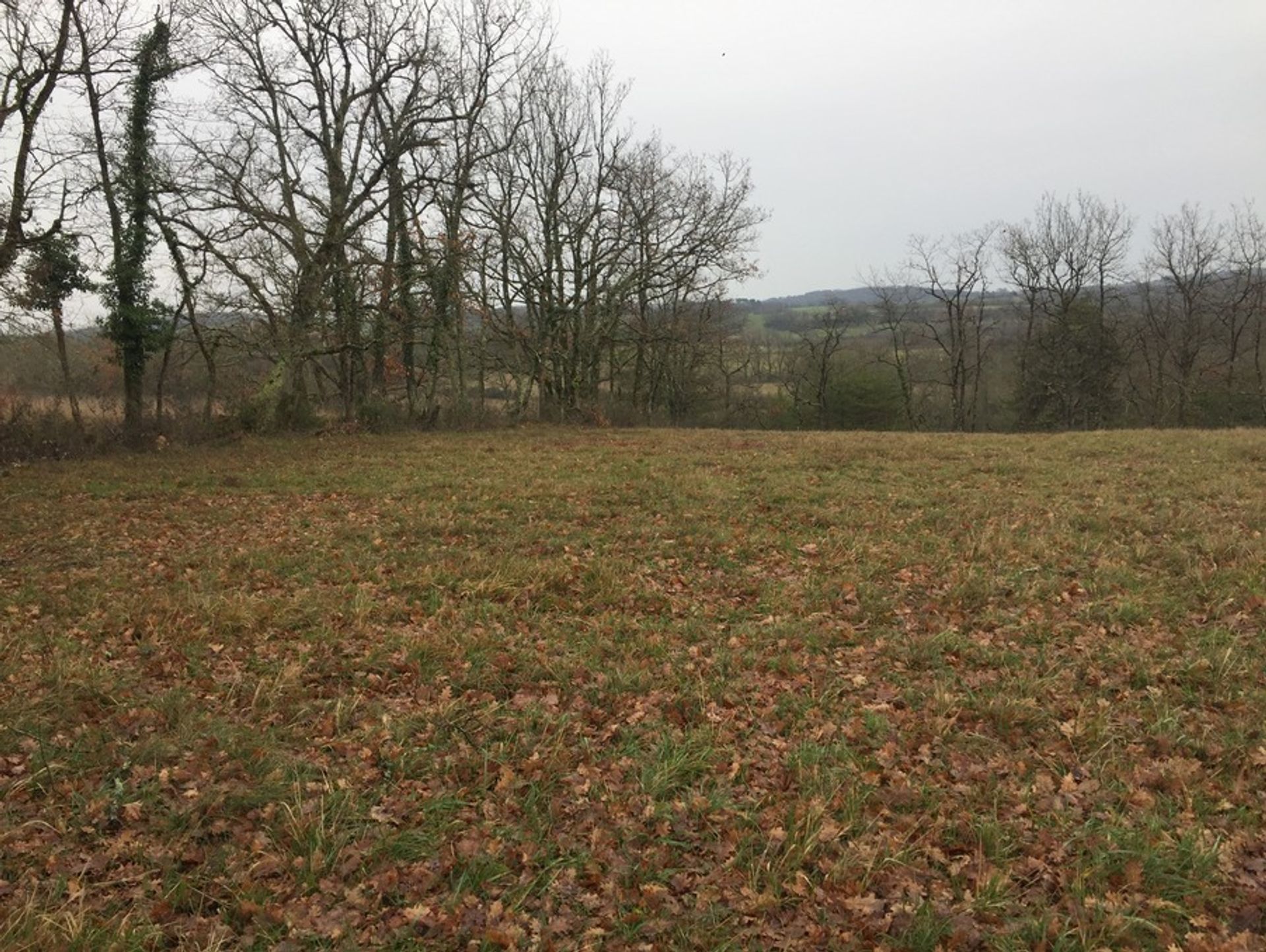 Land im Serres-et-Montguyard, Nouvelle-Aquitaine 10883971