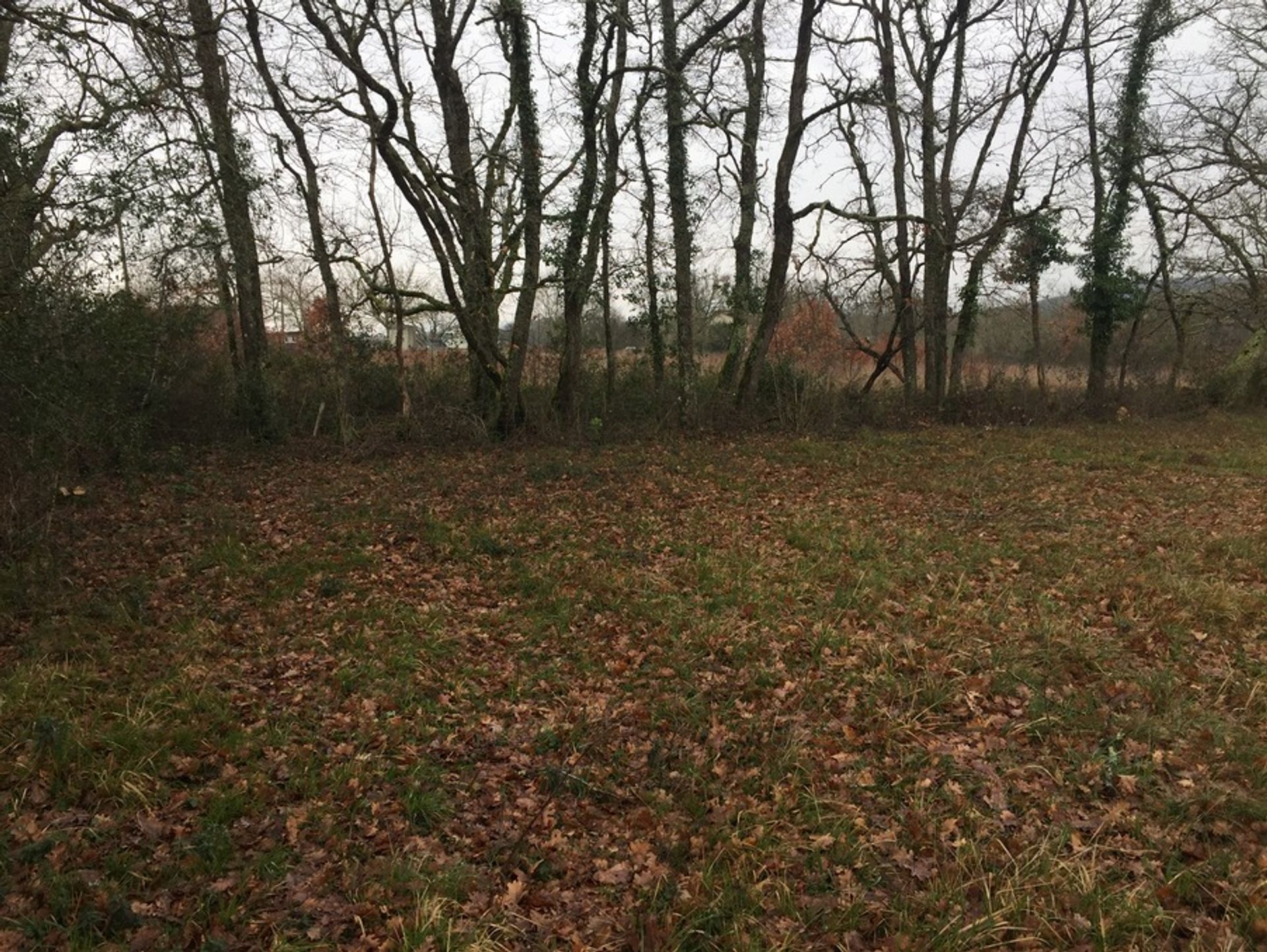 Land in Serres-et-Montguyard, Nouvelle-Aquitaine 10883971