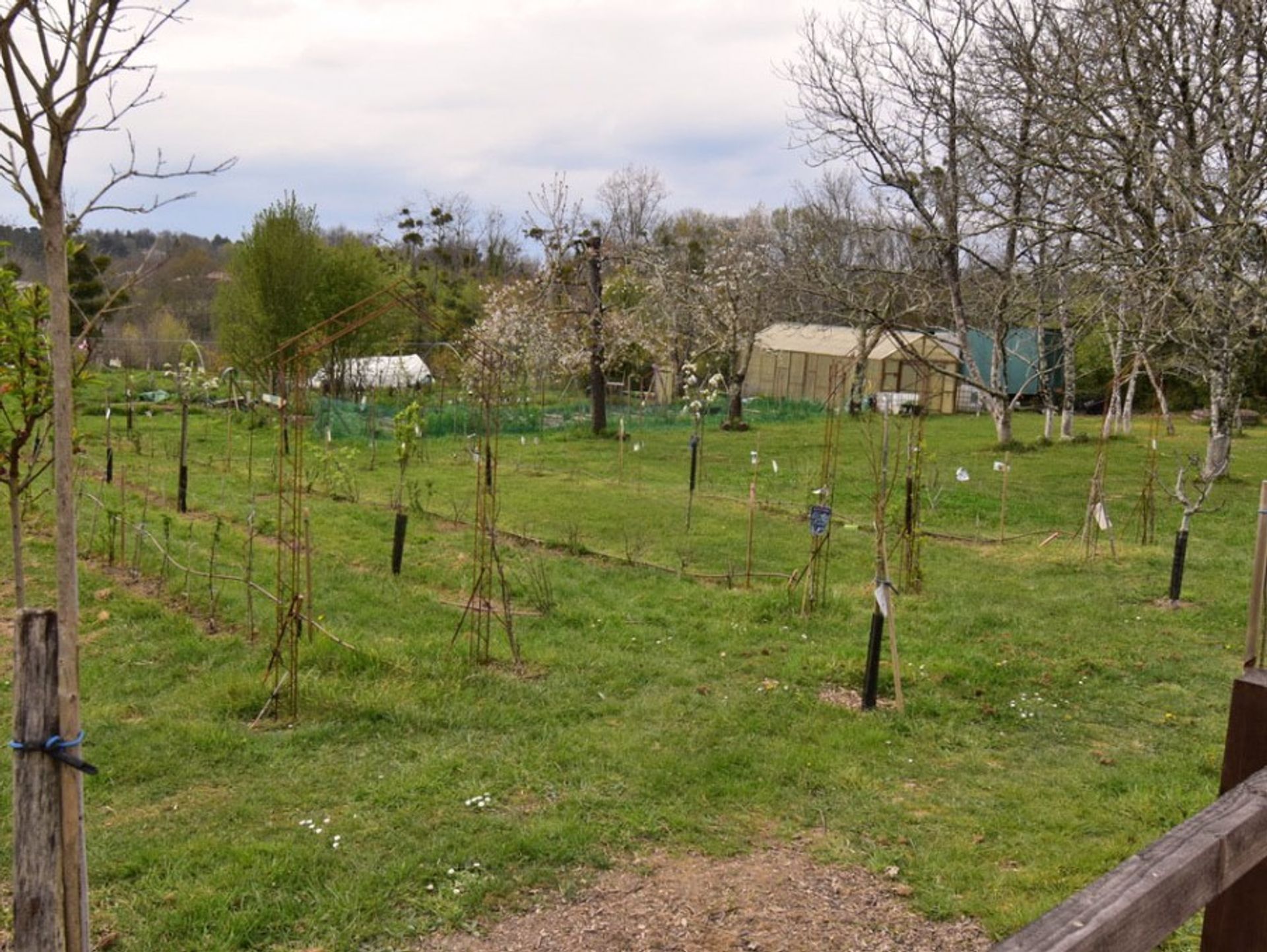 rumah dalam Bergerac, Nouvelle-Aquitaine 10883991