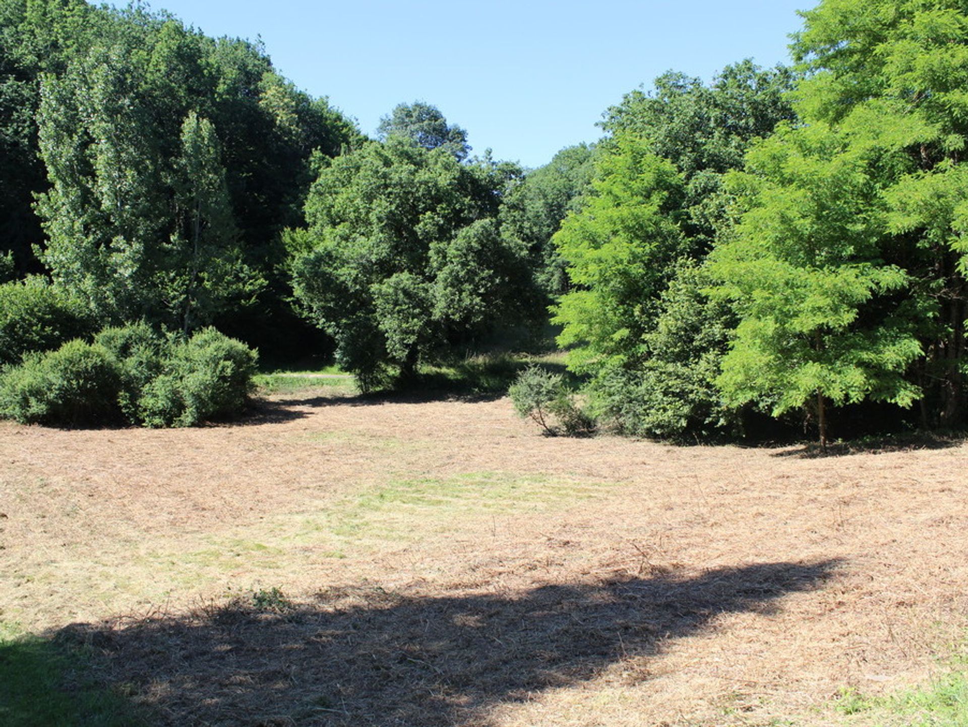 Land i Alles-sur-Dordogne, Nouvelle-Aquitaine 10884122