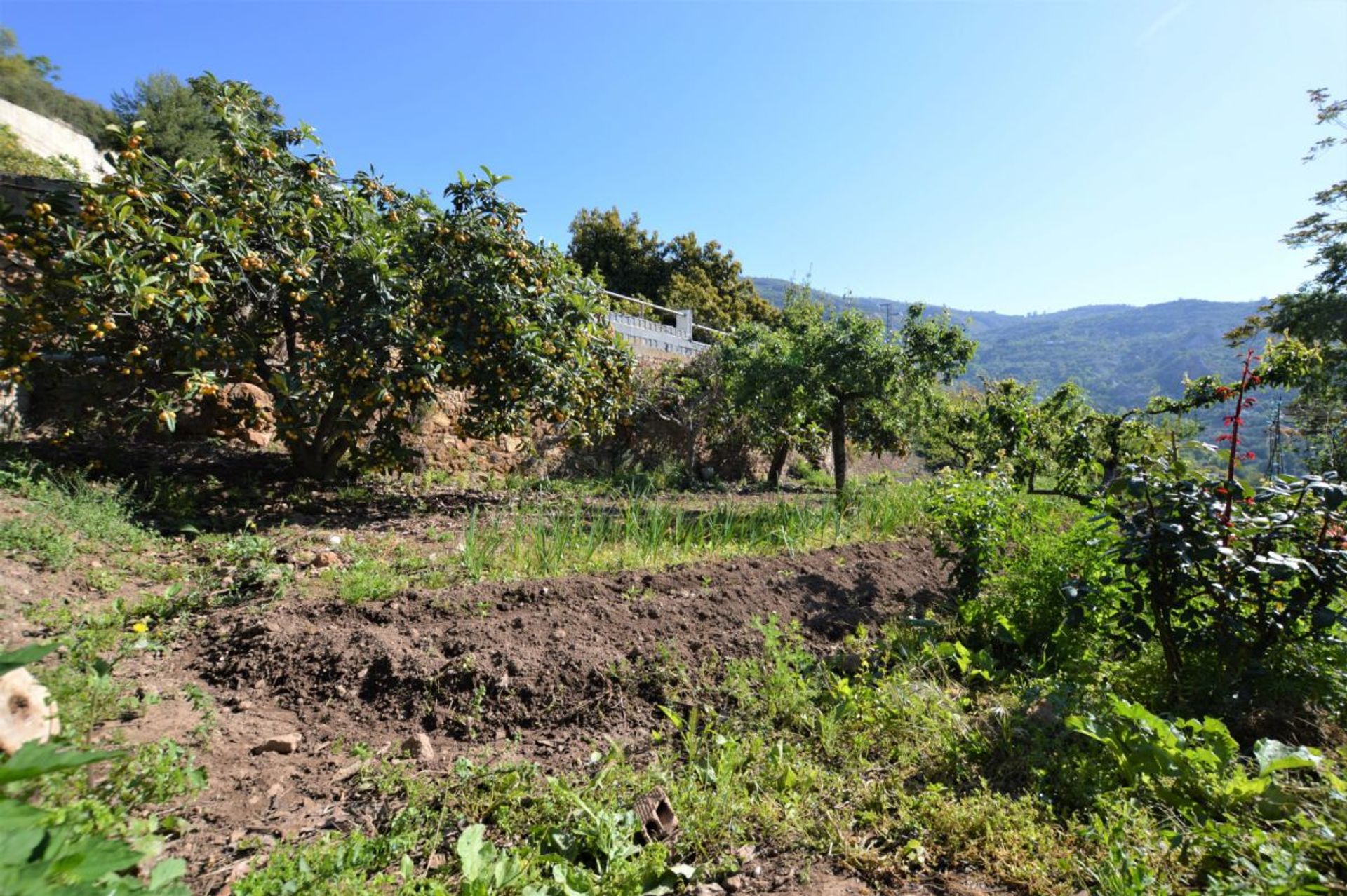 жилой дом в Lanjarón, Andalucía 10884868