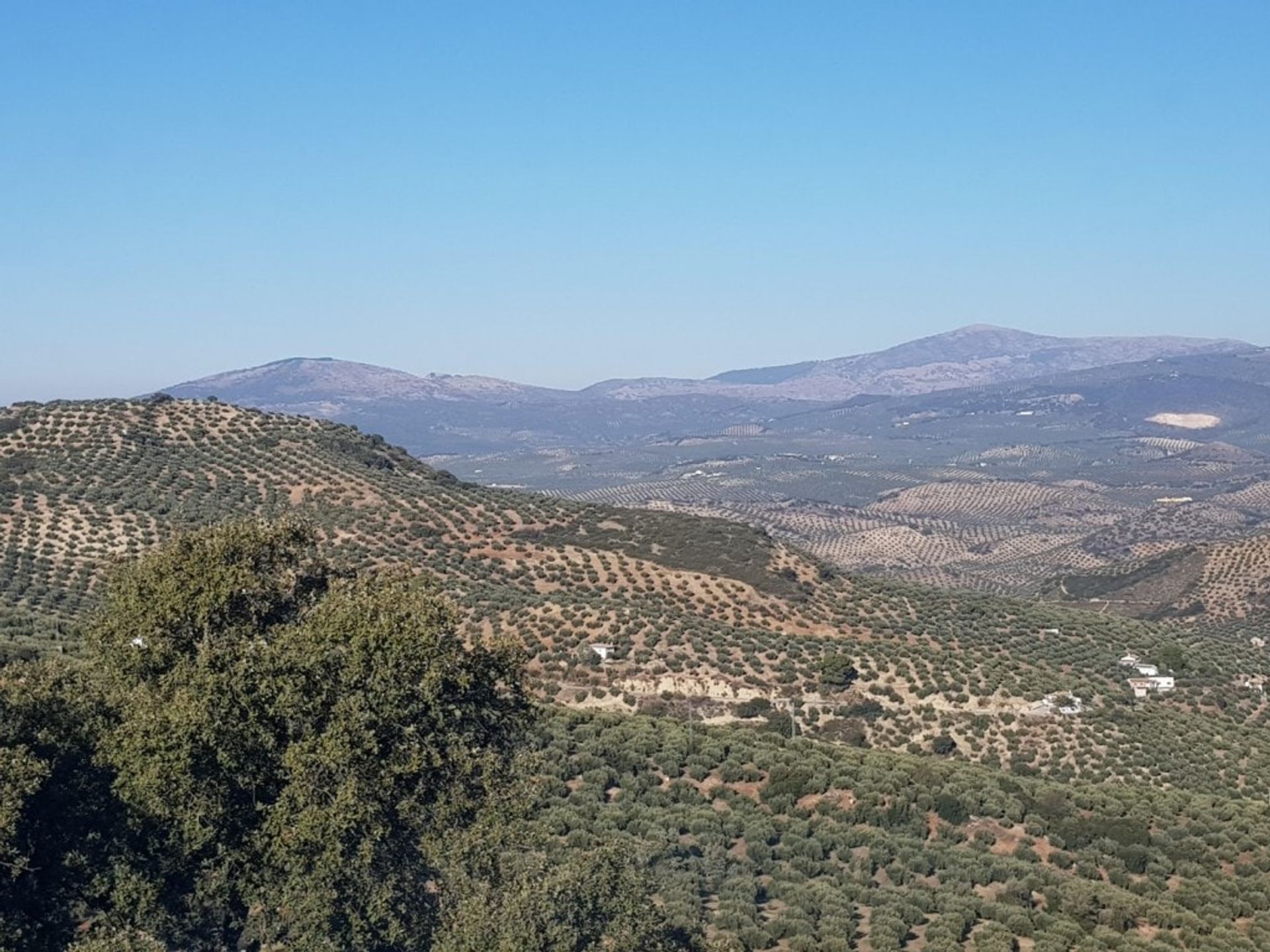 House in Martos, Andalucía 10884908