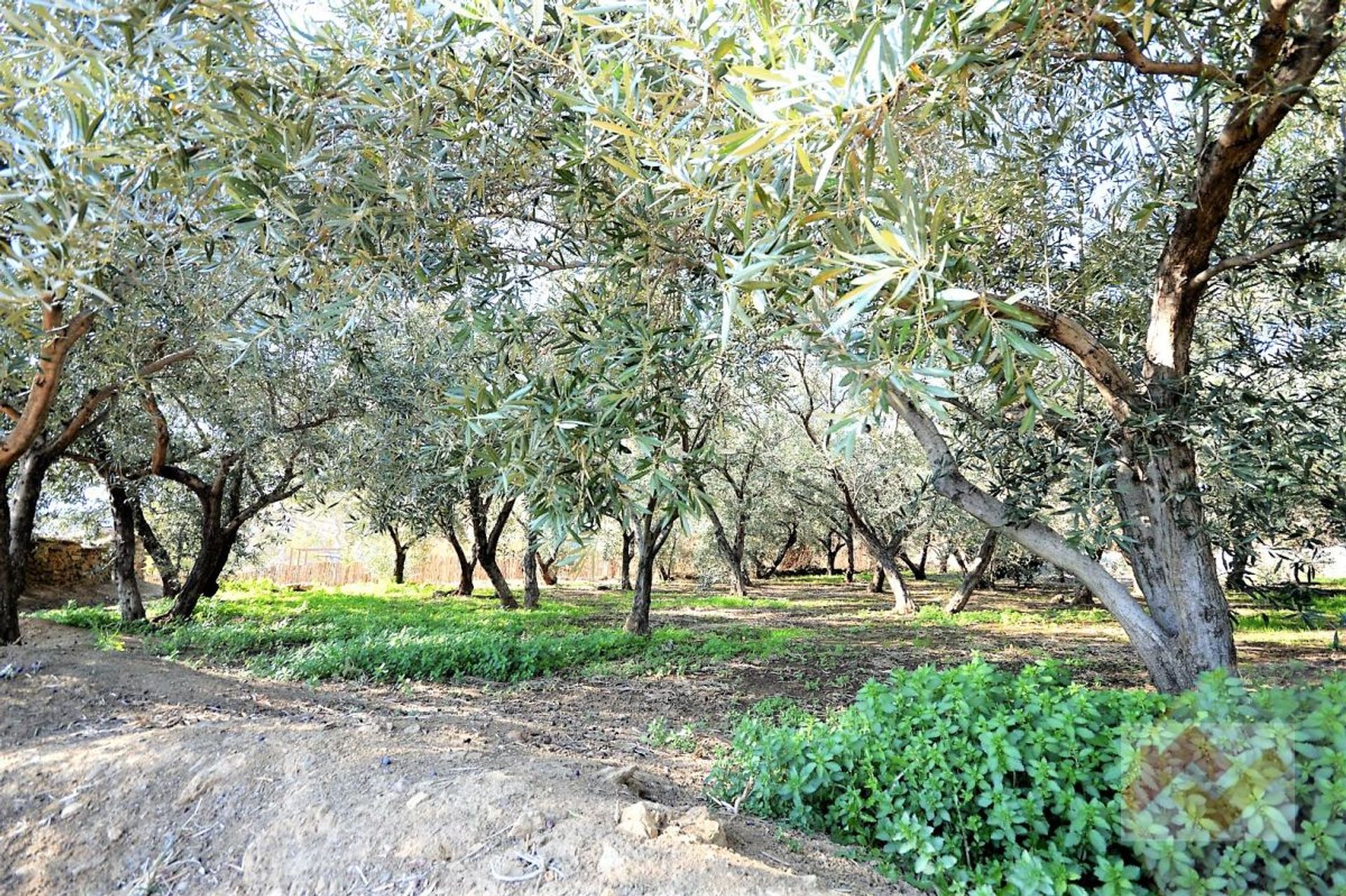 loger dans Lanjarón, Andalucía 10884952