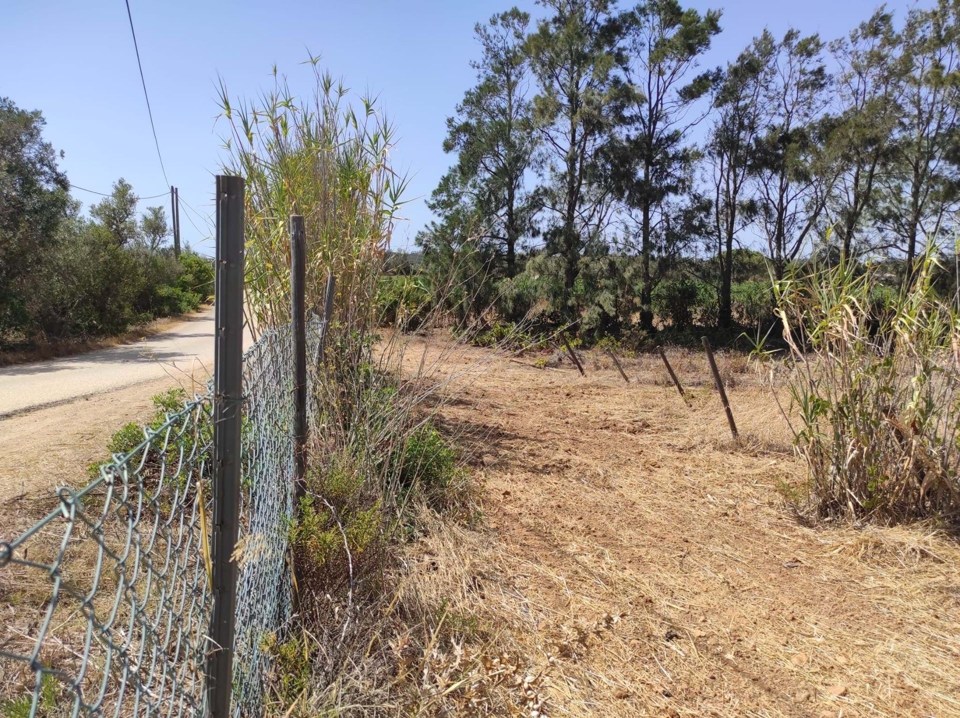 Land in Lagos, Faro 10885102