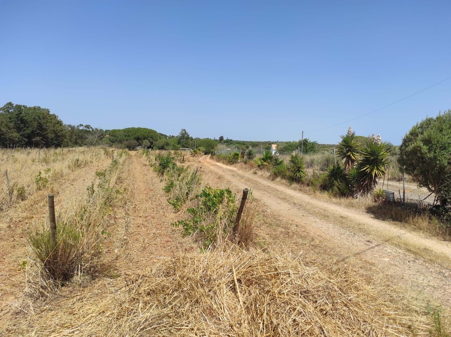 Land in Lagos, Faro 10885102