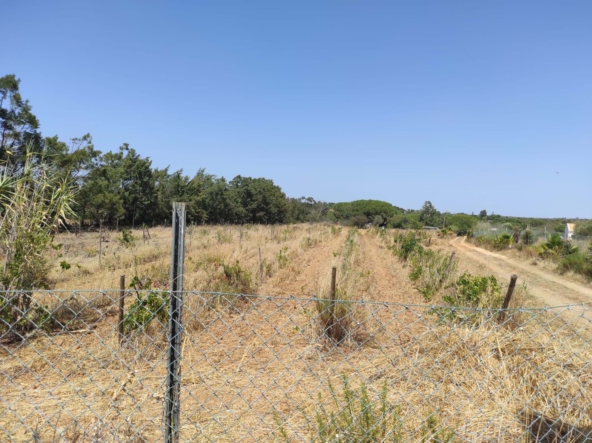 Land i Lagos, Faro District 10885102