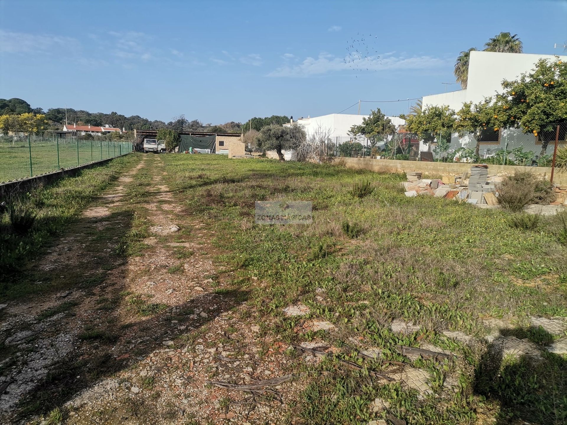 Tierra en torre, Faraón 10885131