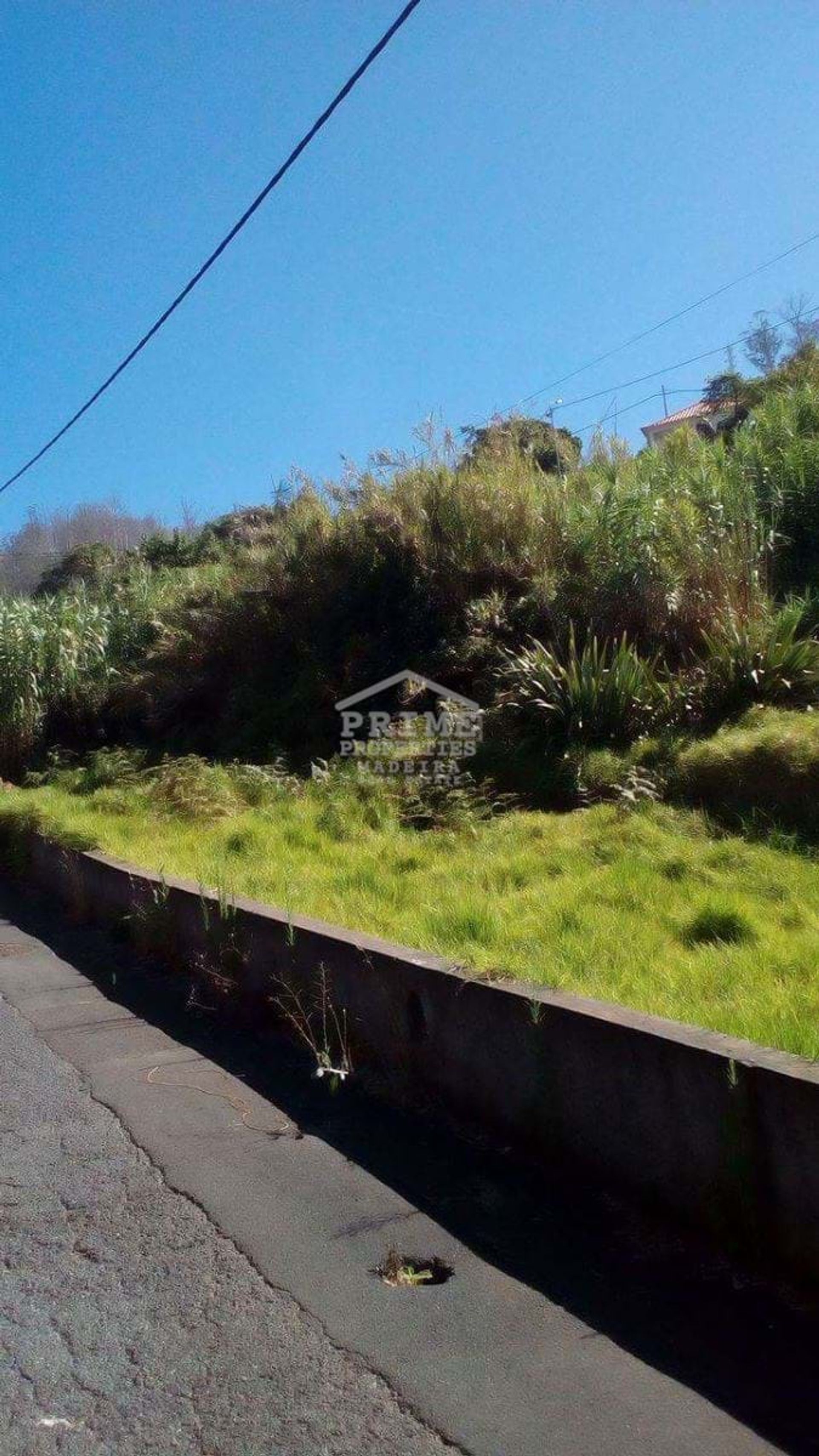 Land i Nossa Senhora do Monte, Madeira 10885431