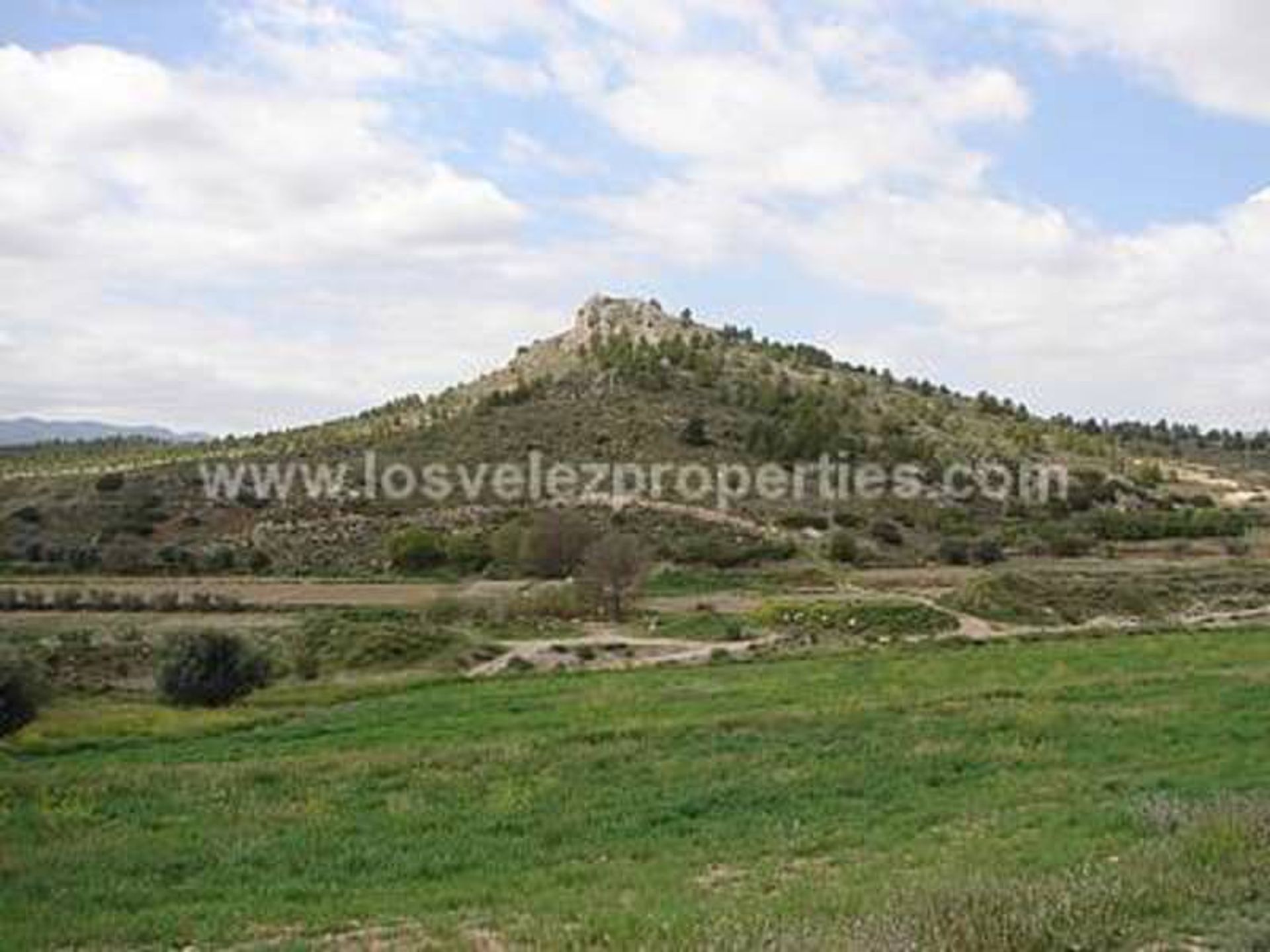 House in María, Andalucía 10885469