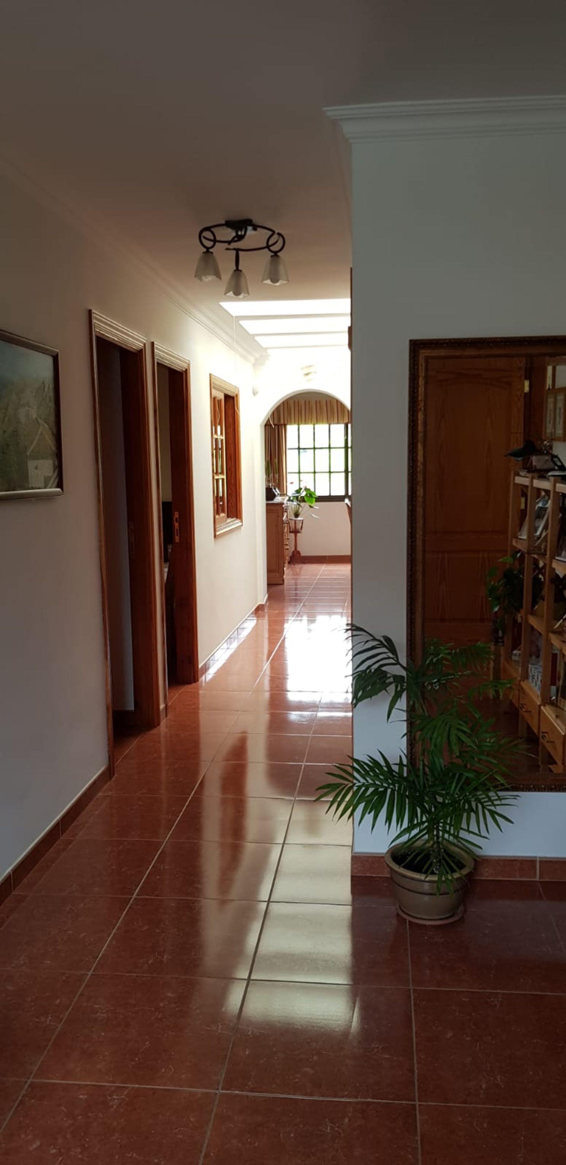 Huis in La Orotava, Canary Islands 10885522