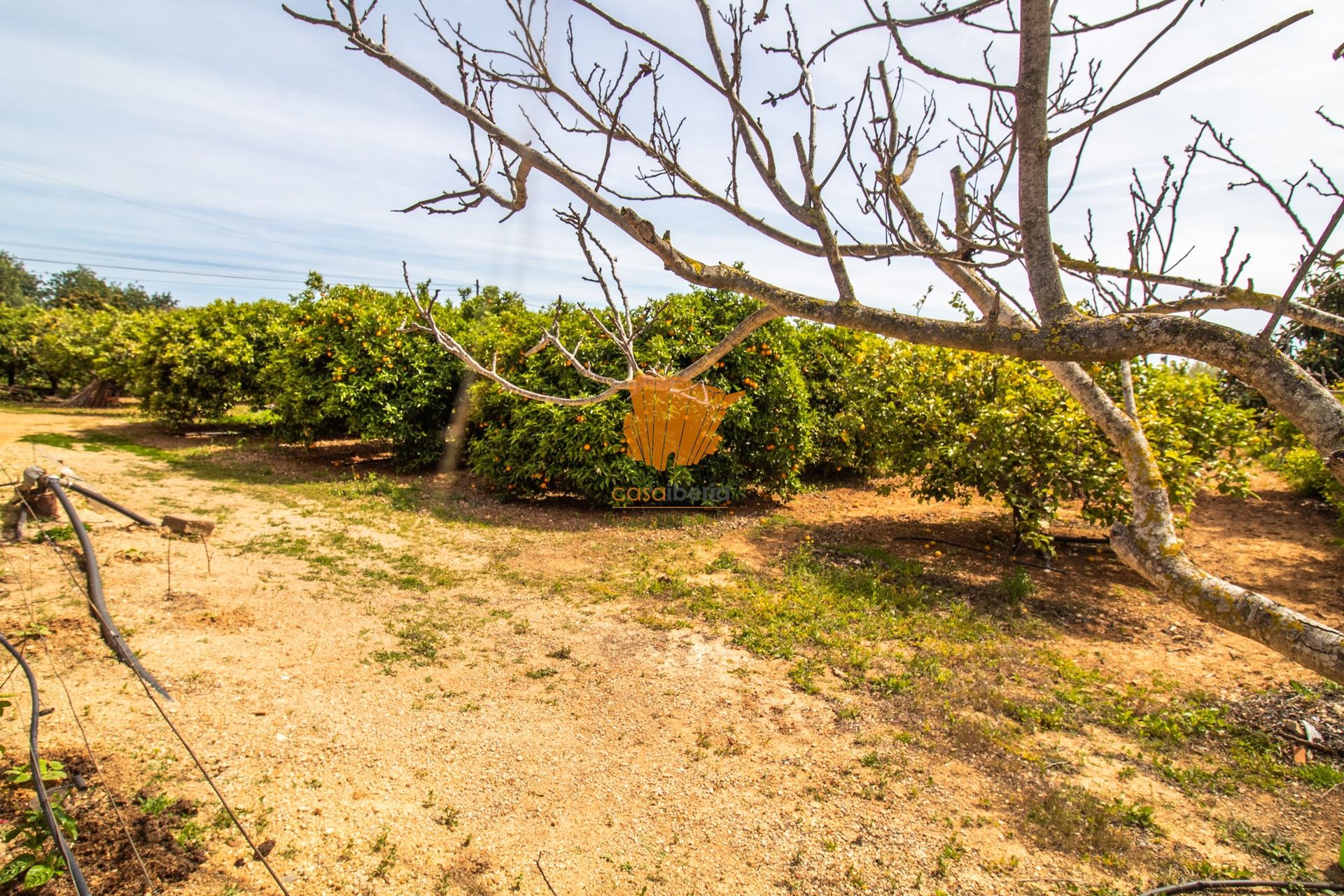 casa en Lamaceiro, Faro 10885530