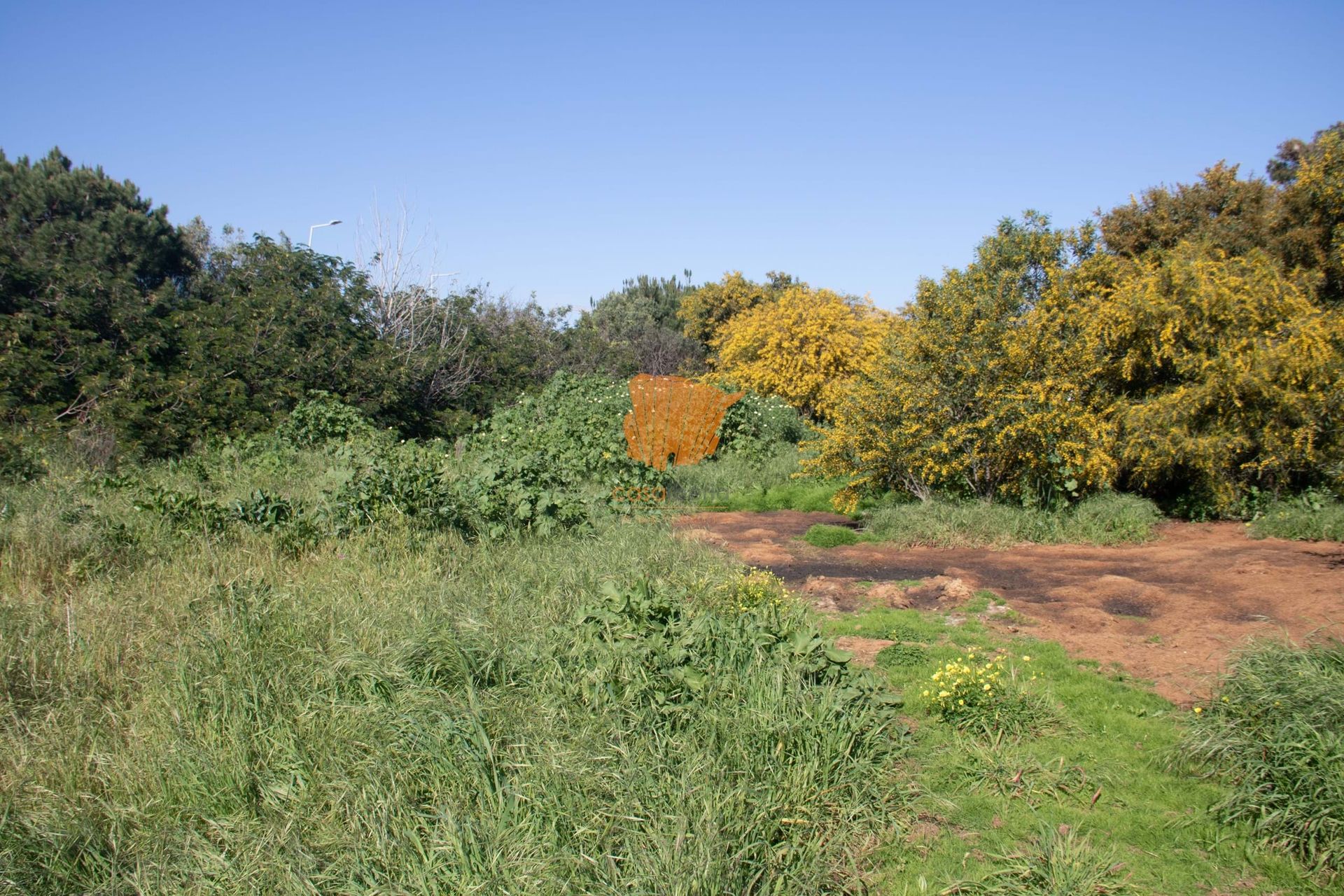 ארץ ב לאגוס, פארו 10885619