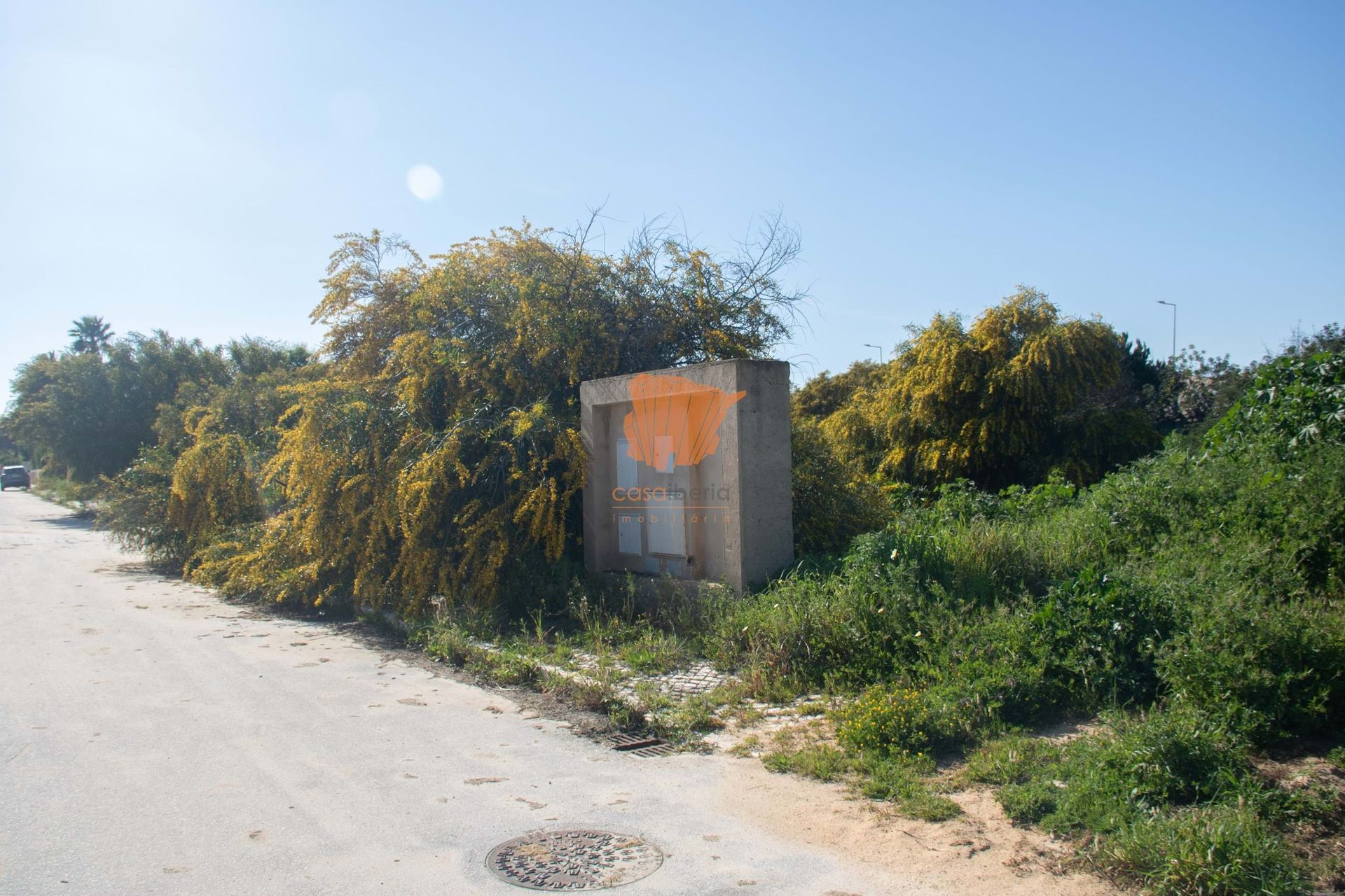 Land in Lagos, Faro 10885641