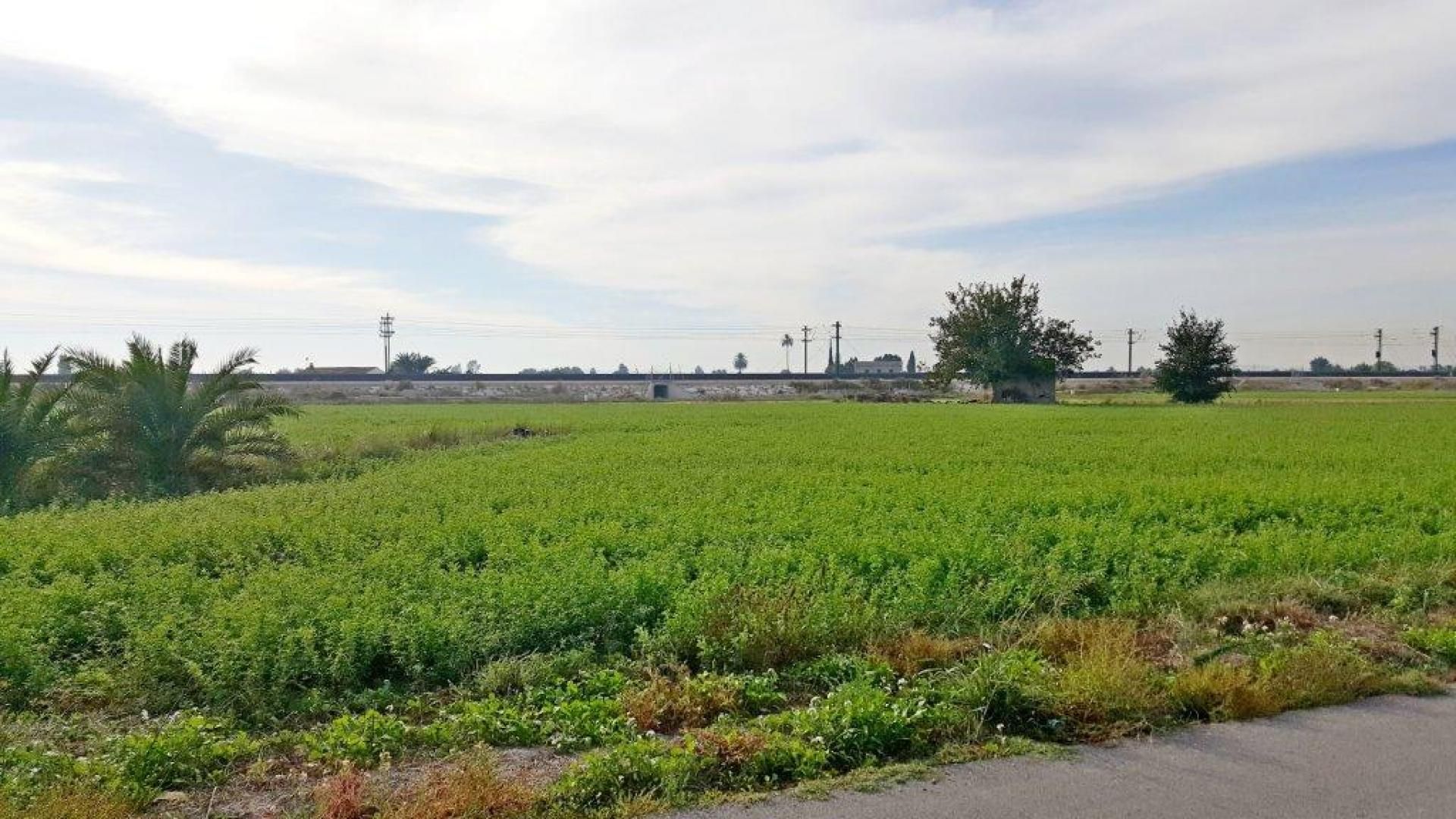 Land im Callosa de Segura, Comunidad Valenciana 10885653