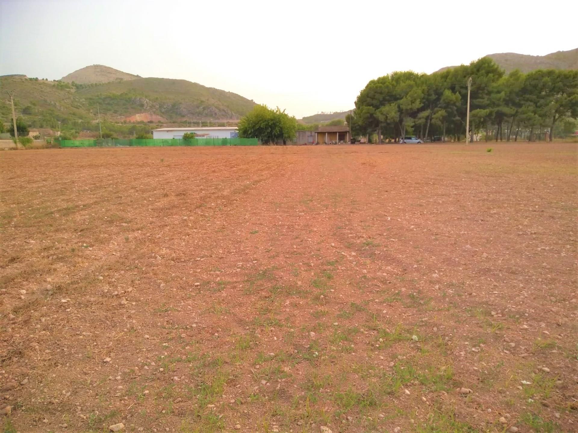 Land in Aspe, Comunidad Valenciana 10885782