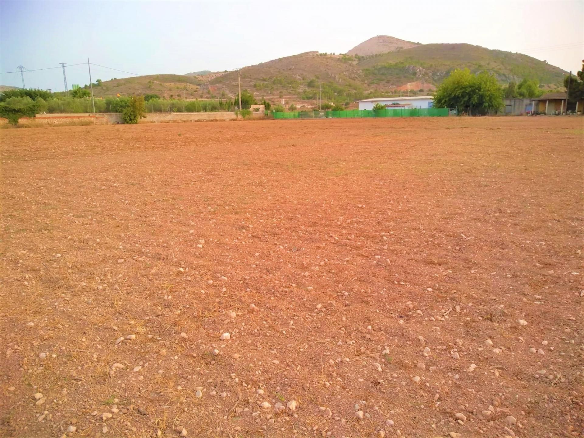 Land in Aspe, Comunidad Valenciana 10885782