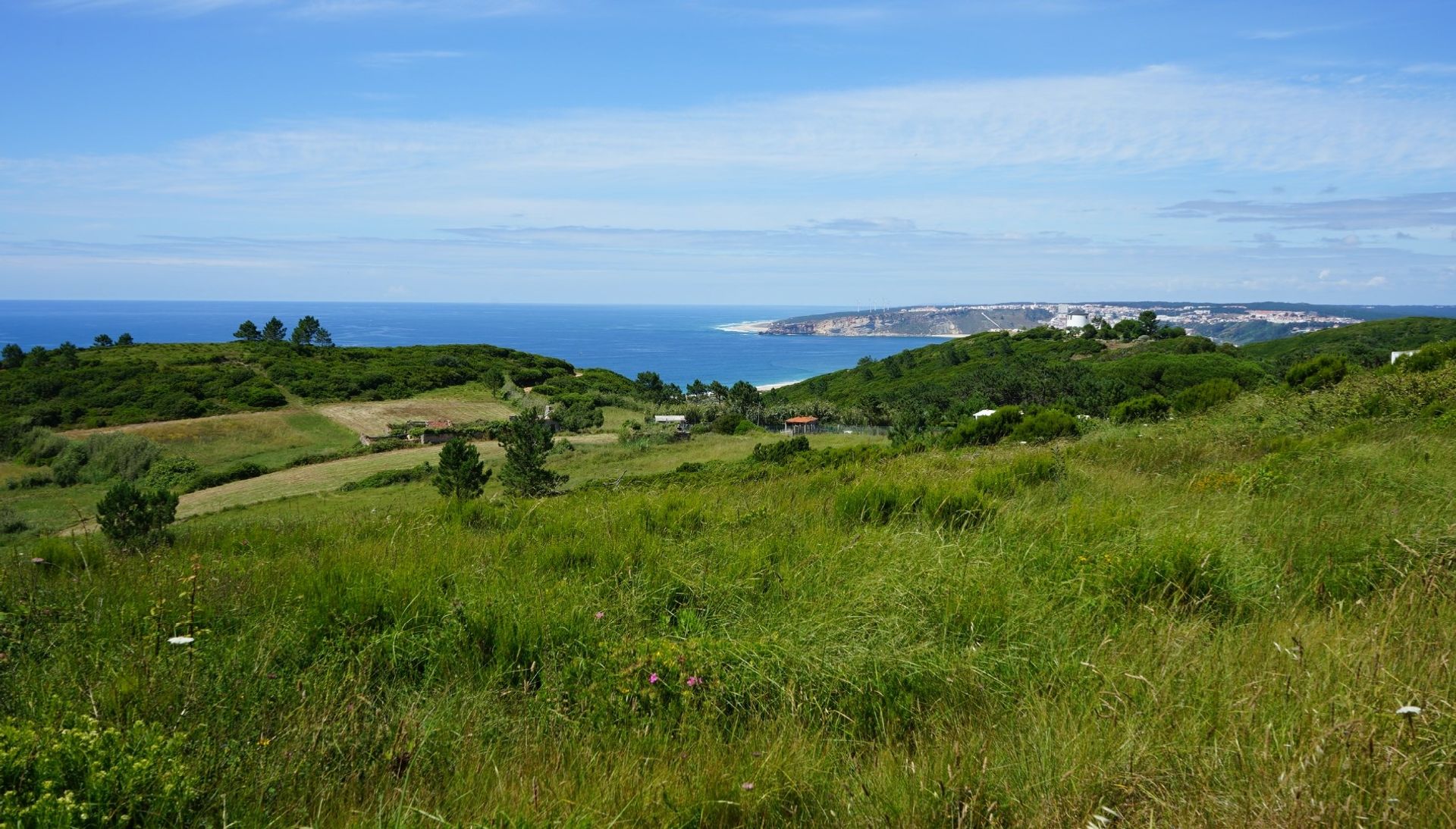 Hus i Nazaré, Leiria District 10885937