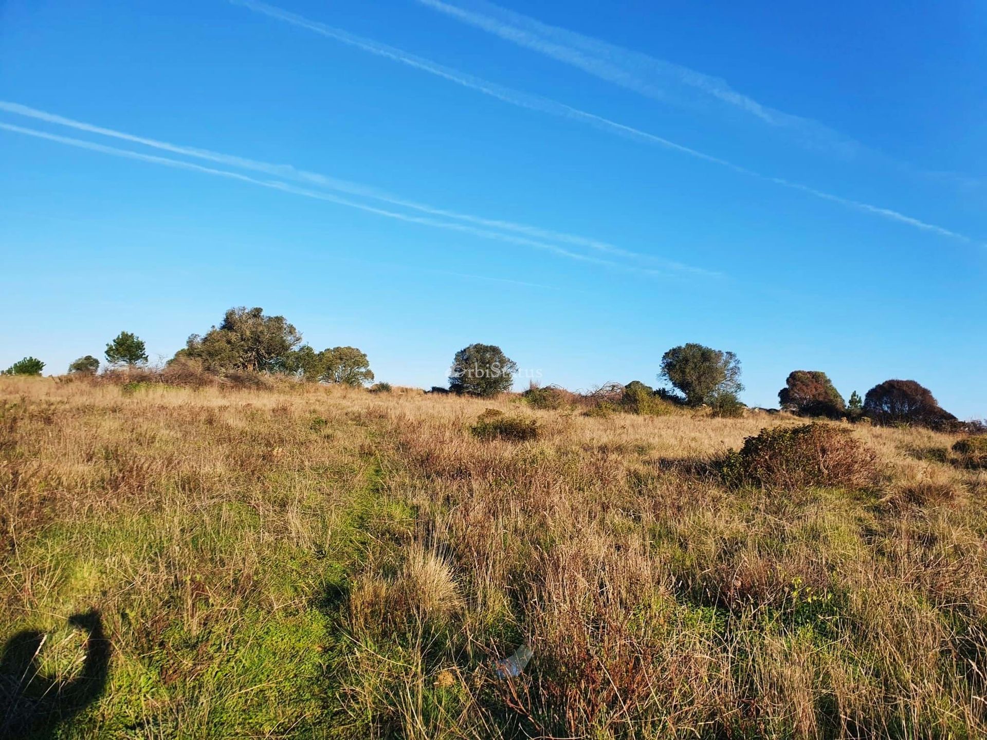 Land in Castelo, Setubal 10885970