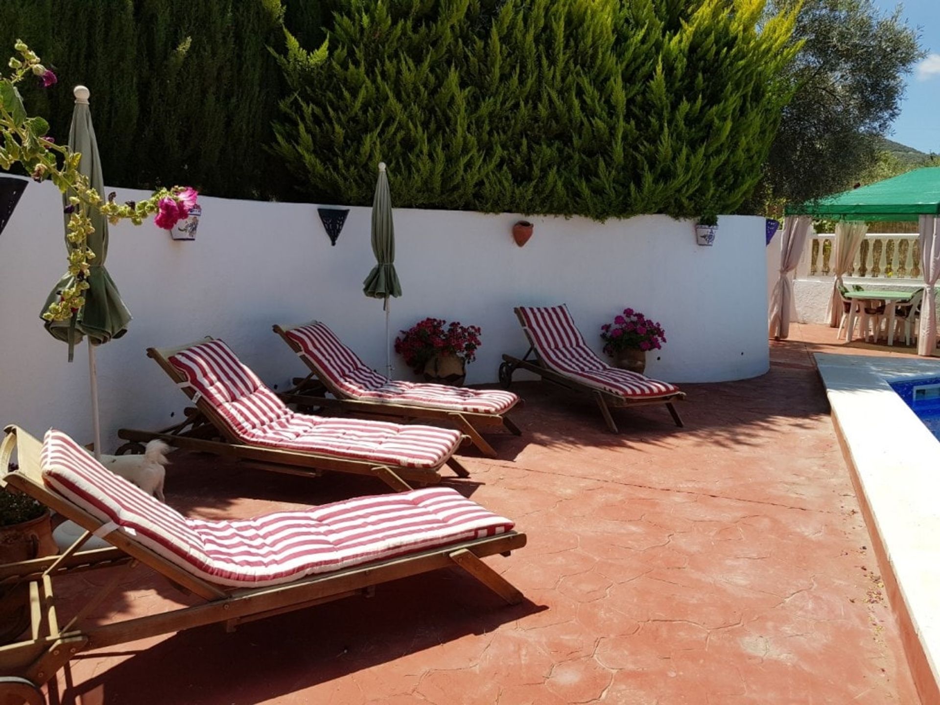 Huis in Villanueva del Trabuco, Andalucía 10886179