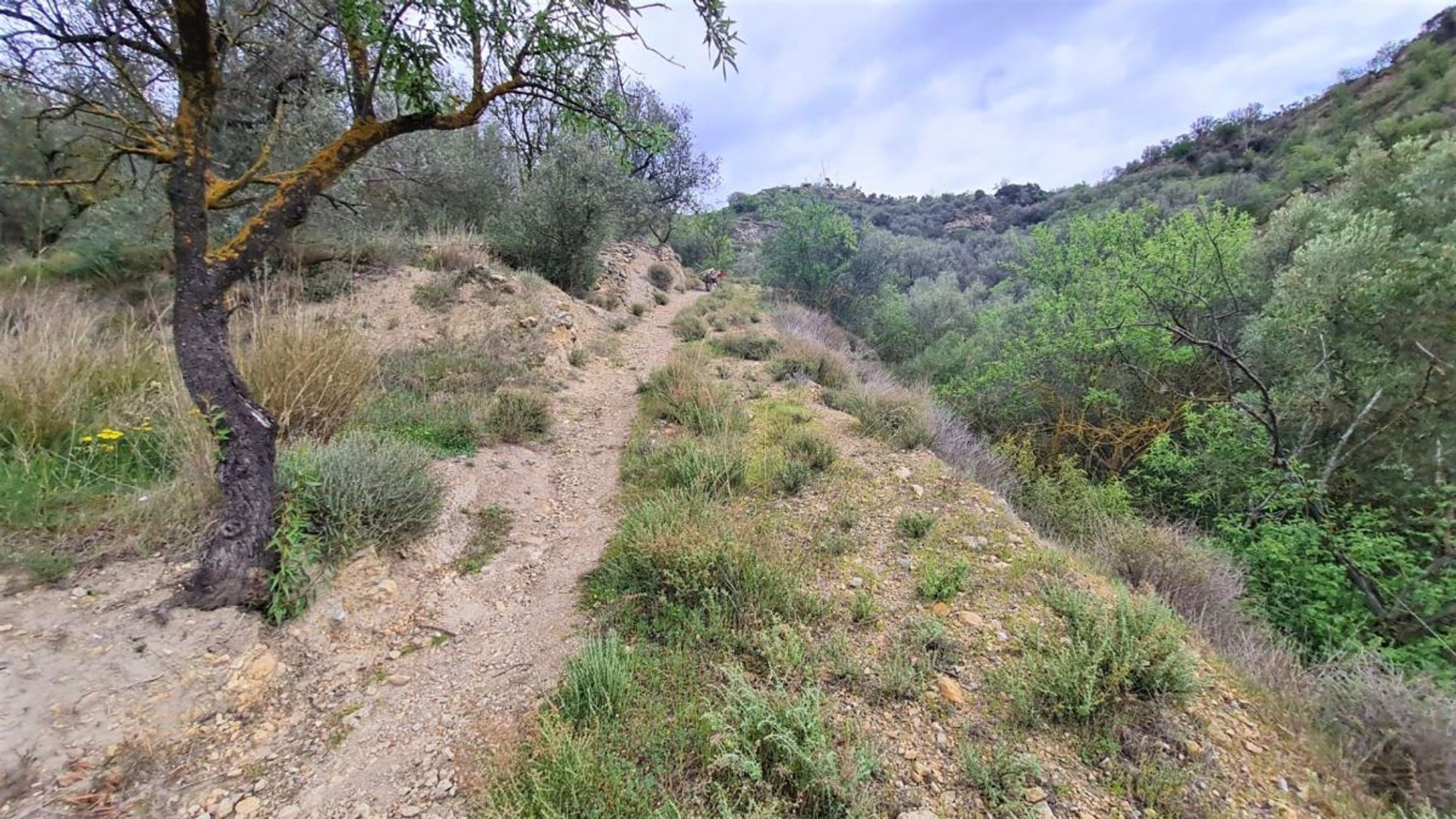 σπίτι σε Lanjarón, Andalucía 10886329