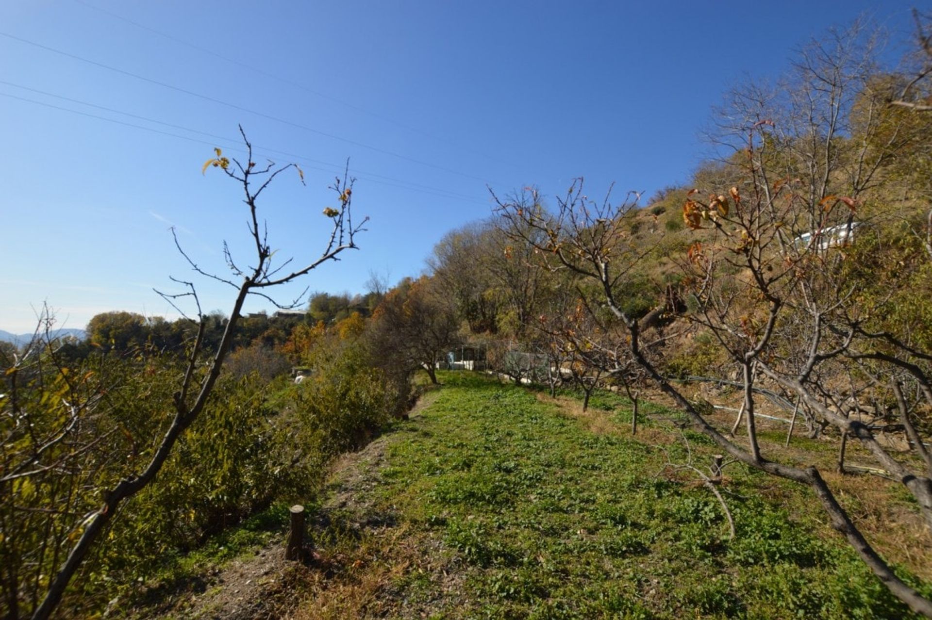 σπίτι σε Lanjarón, Andalucía 10886359