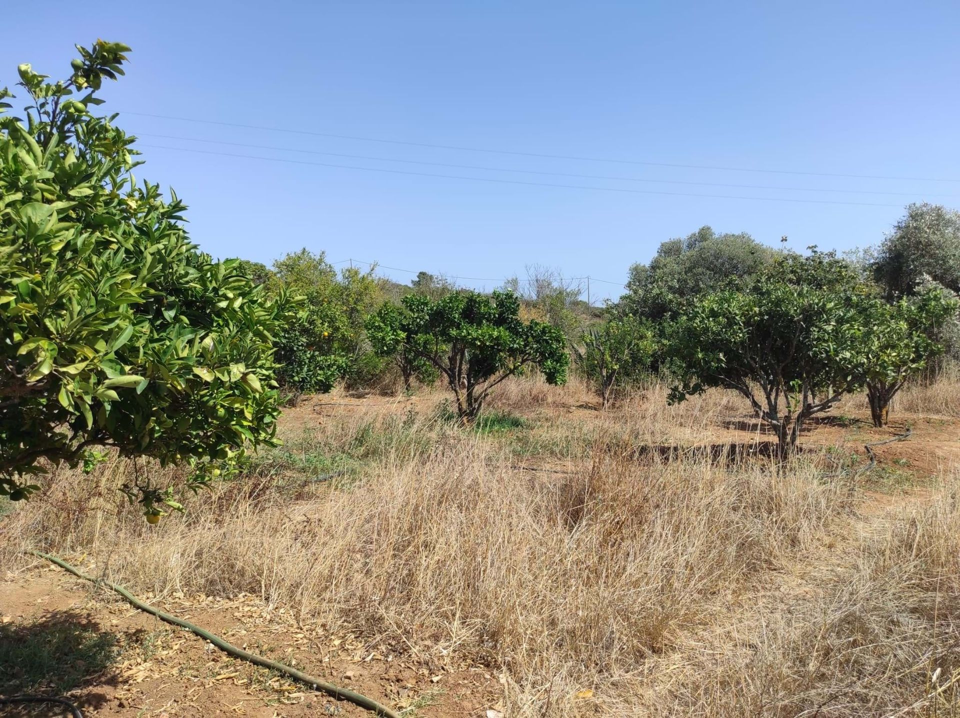 Land in Lagos, Faro District 10886637