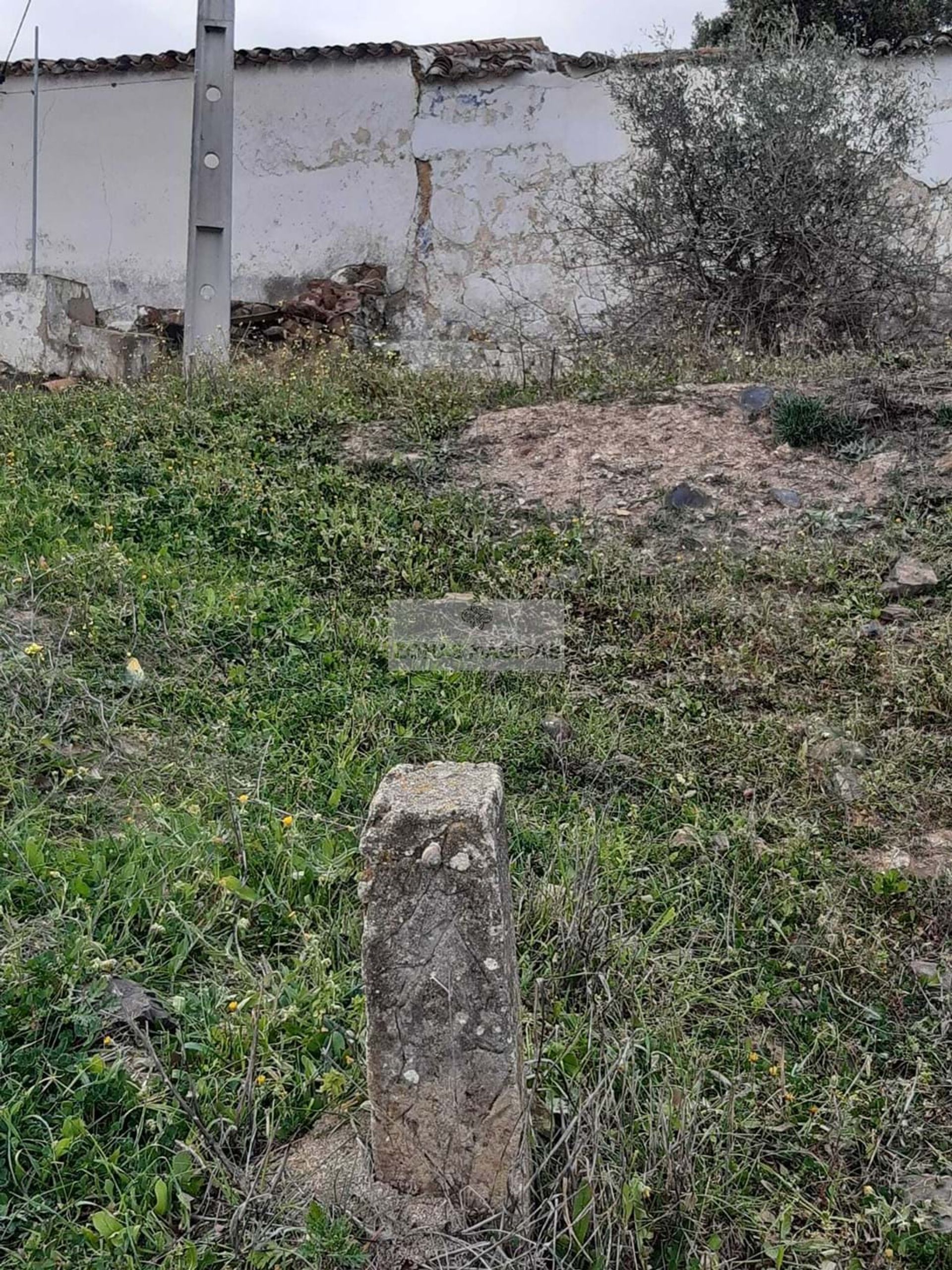 Land im Odiaxere, Faro 10886672