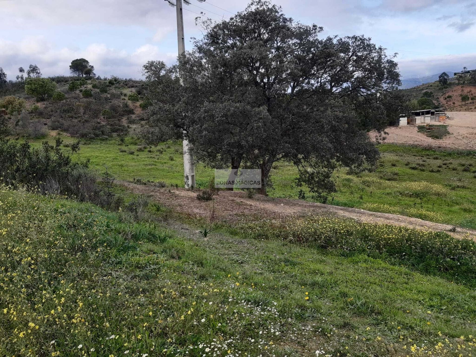 Land in , Faro District 10886672