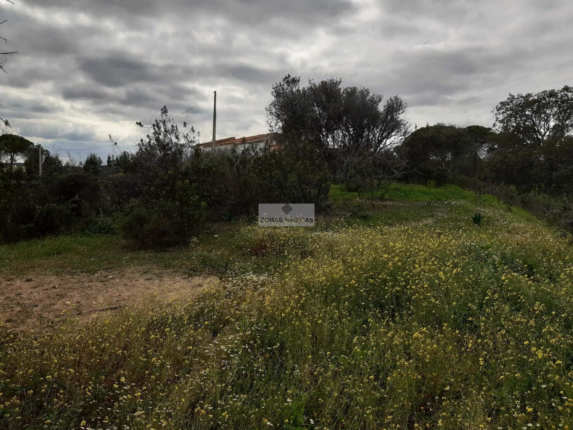 Land in , Faro District 10886672